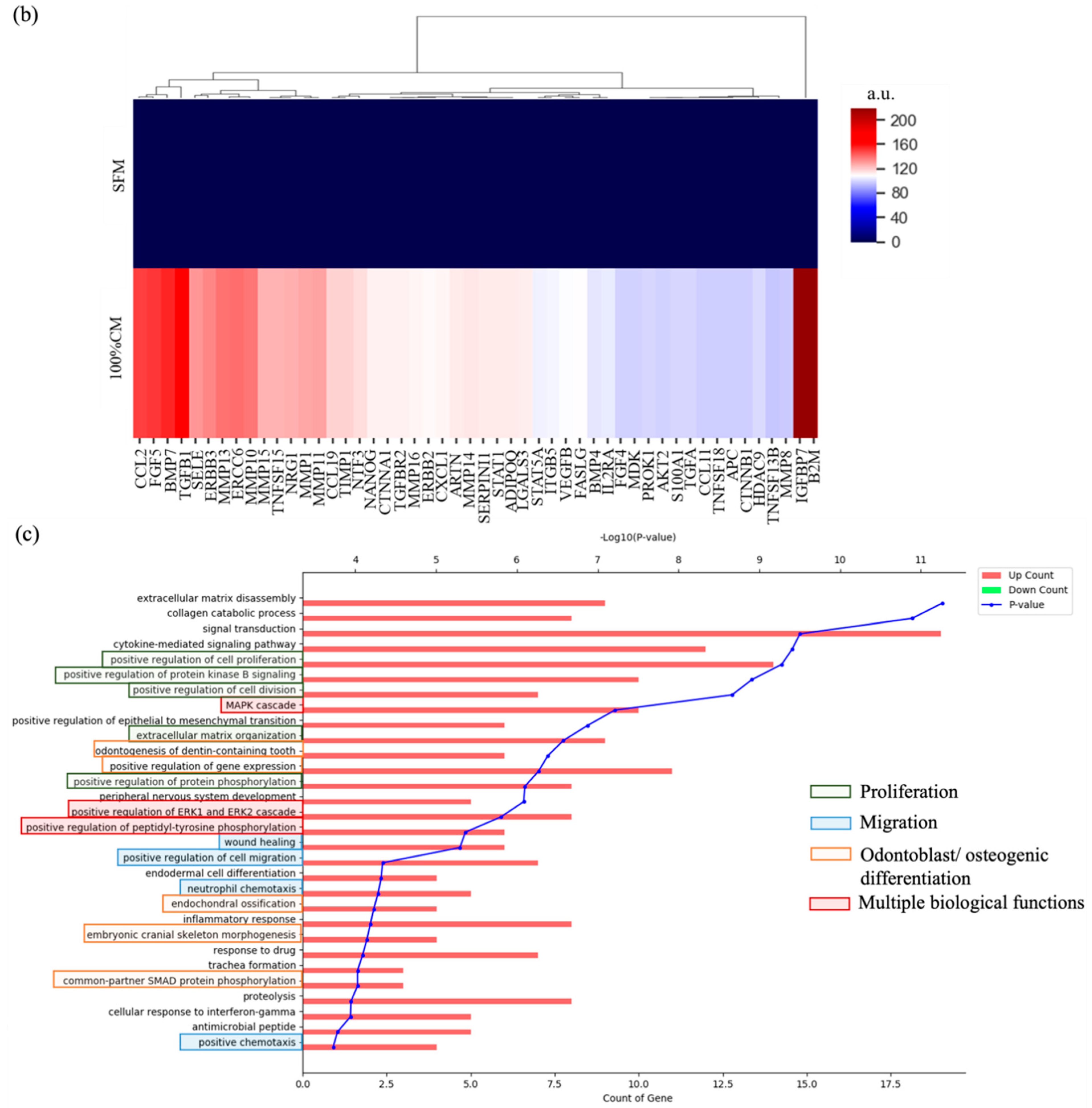Biomedicines 10 00906 g004b