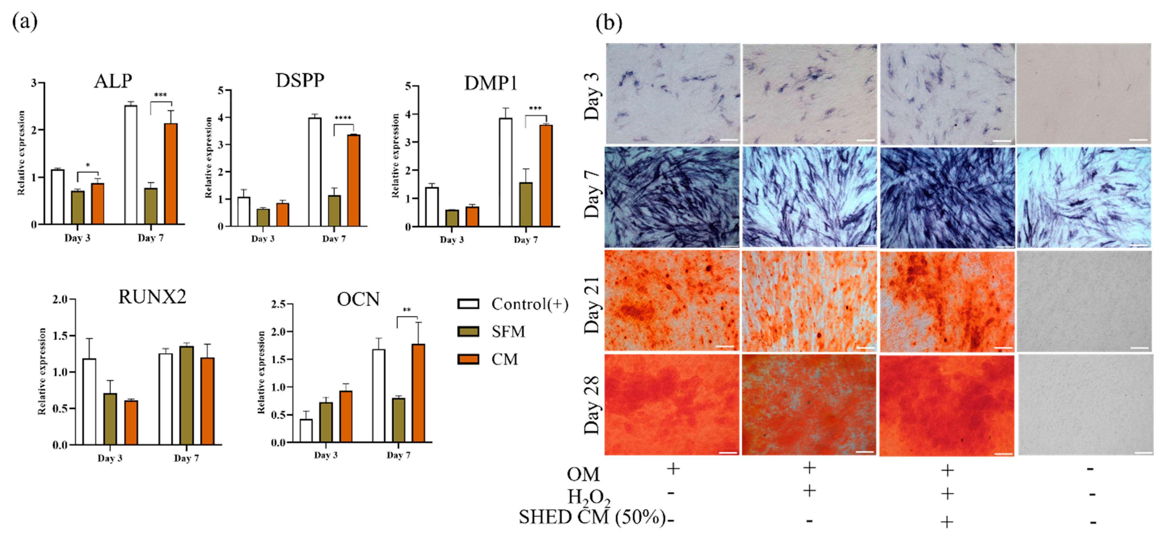 Biomedicines 10 00906 g005