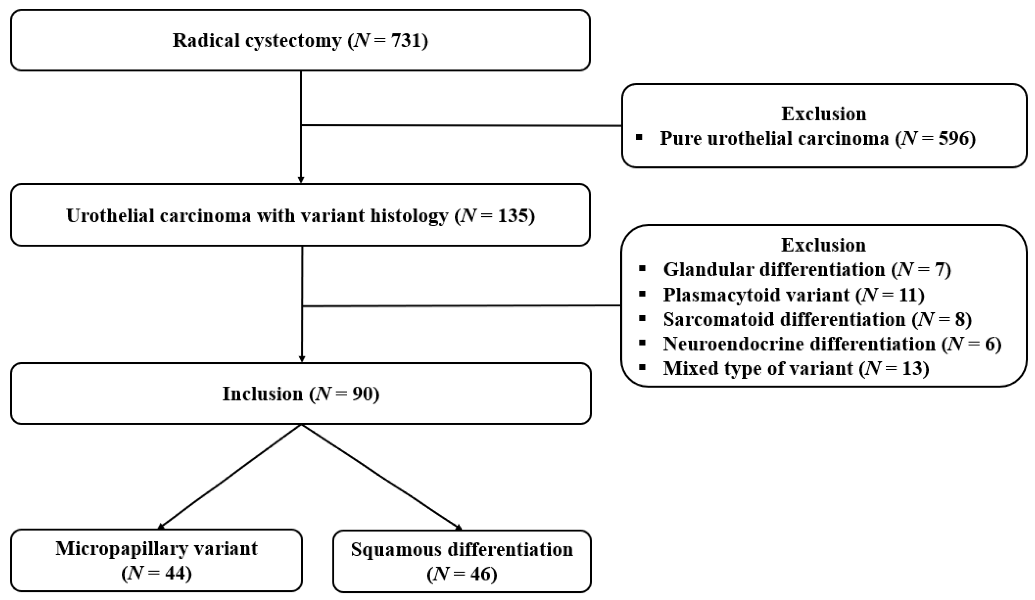 Biomedicines 10 00910 g001