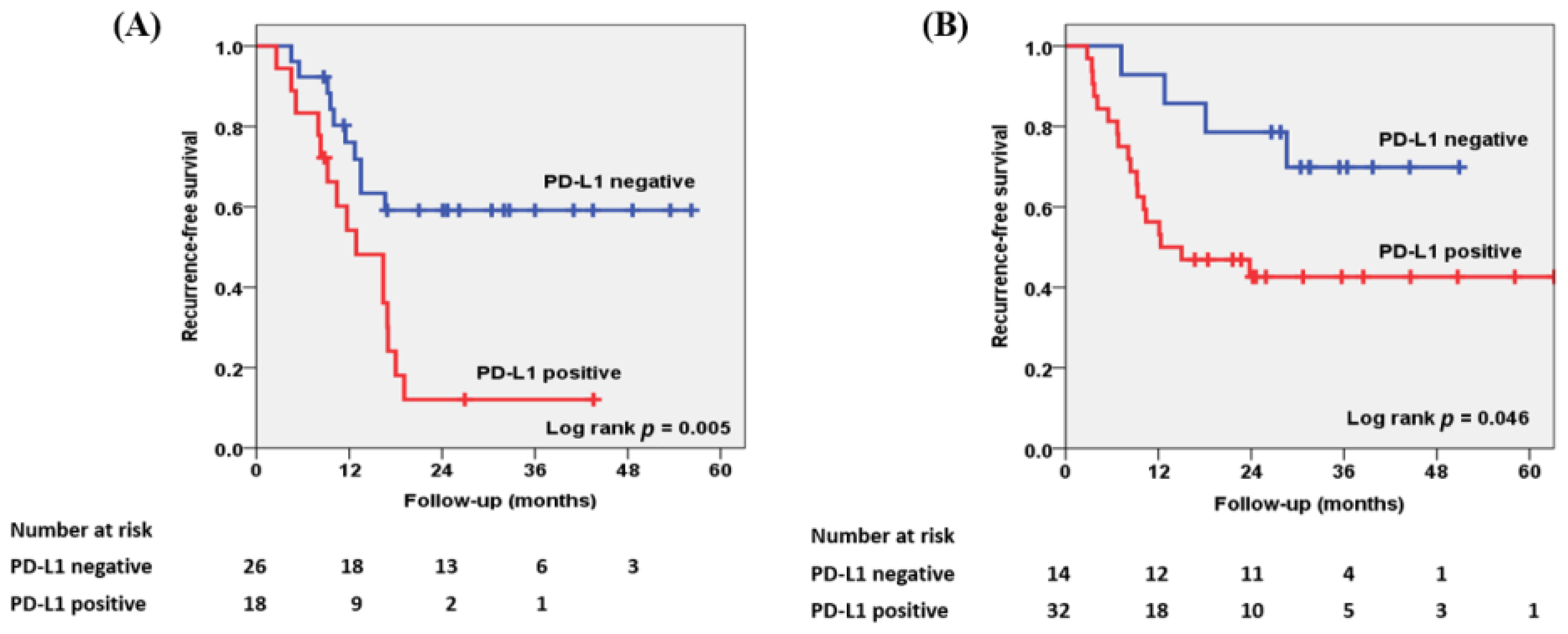 Biomedicines 10 00910 g003