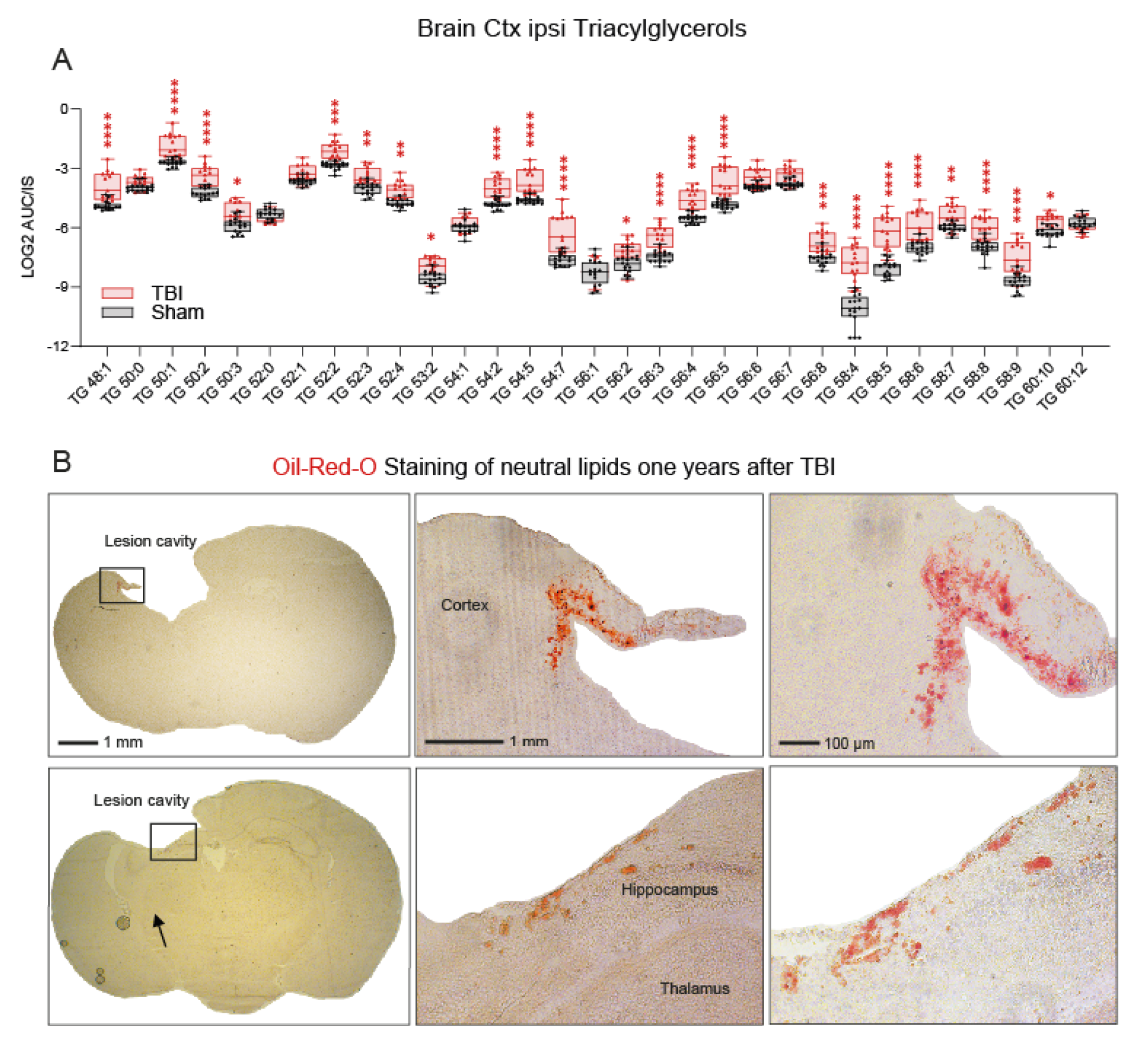 Biomedicines 10 00914 g006