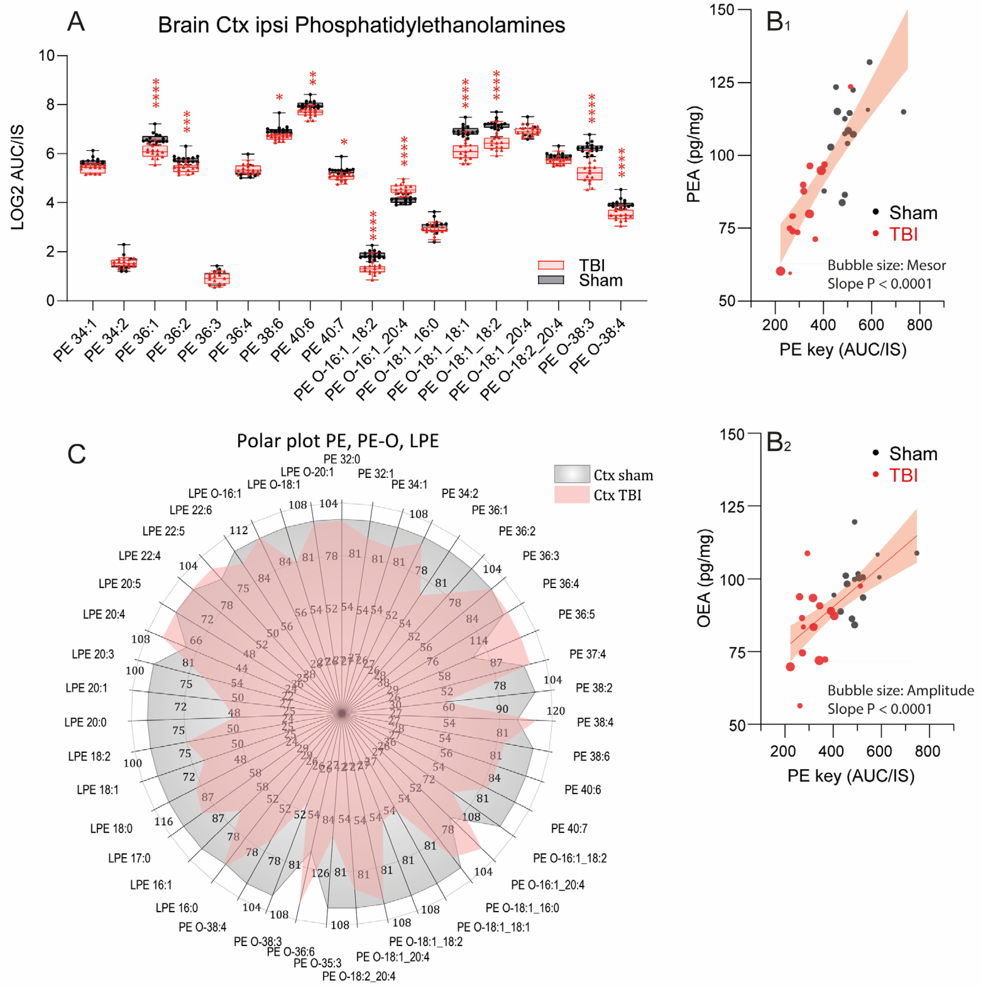Biomedicines 10 00914 g007