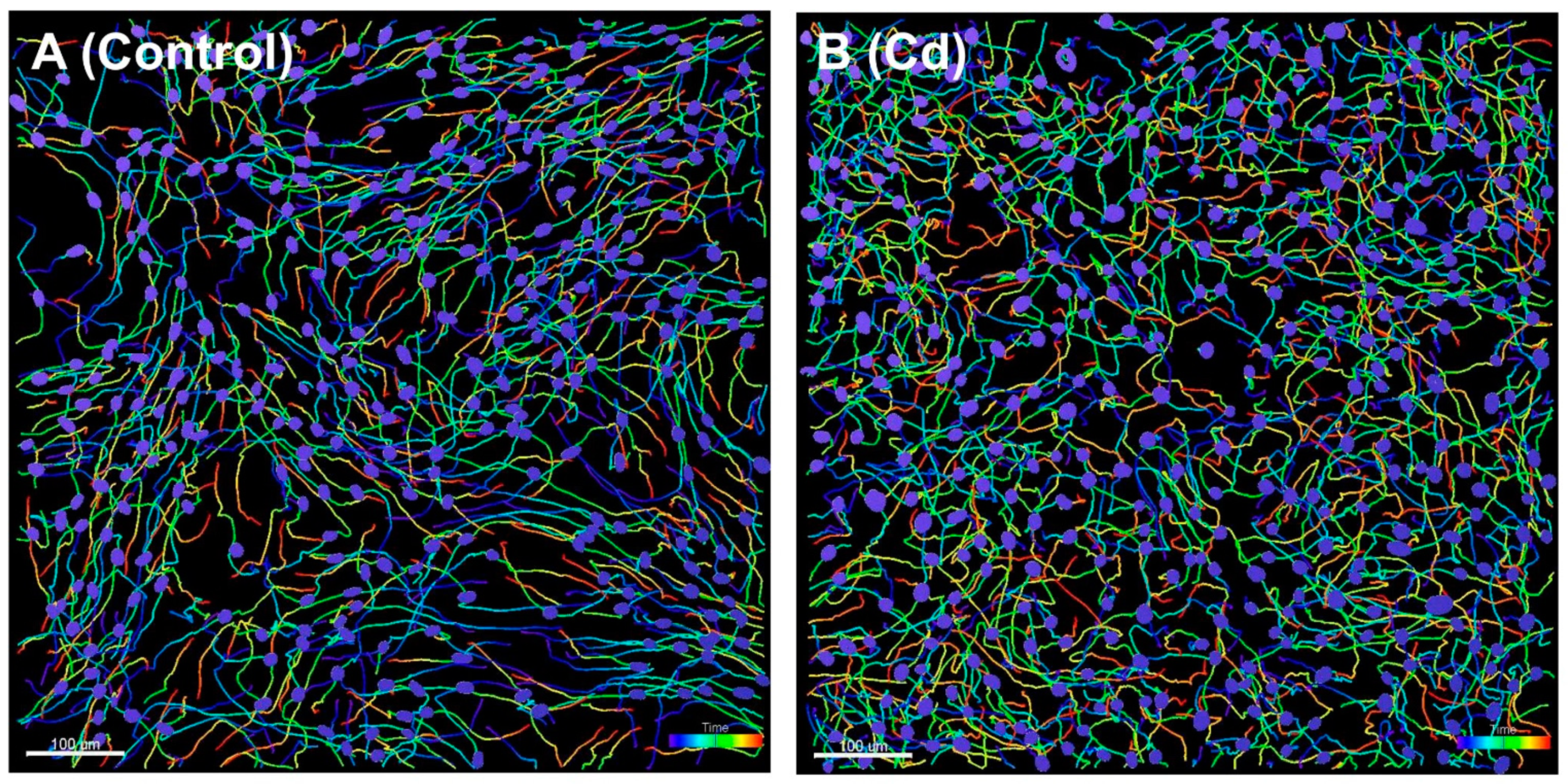 Biomedicines 10 00917 g001