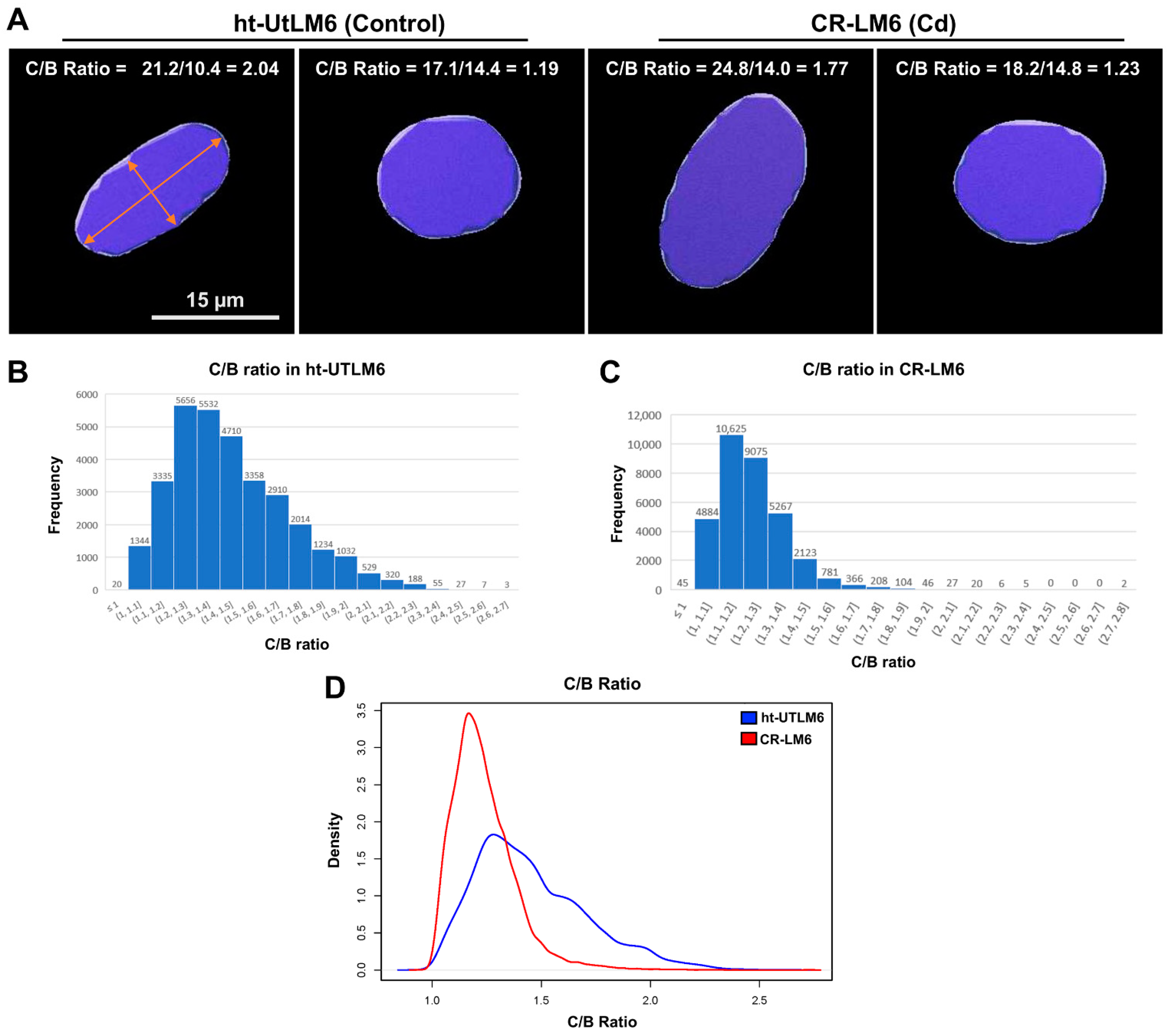 Biomedicines 10 00917 g006