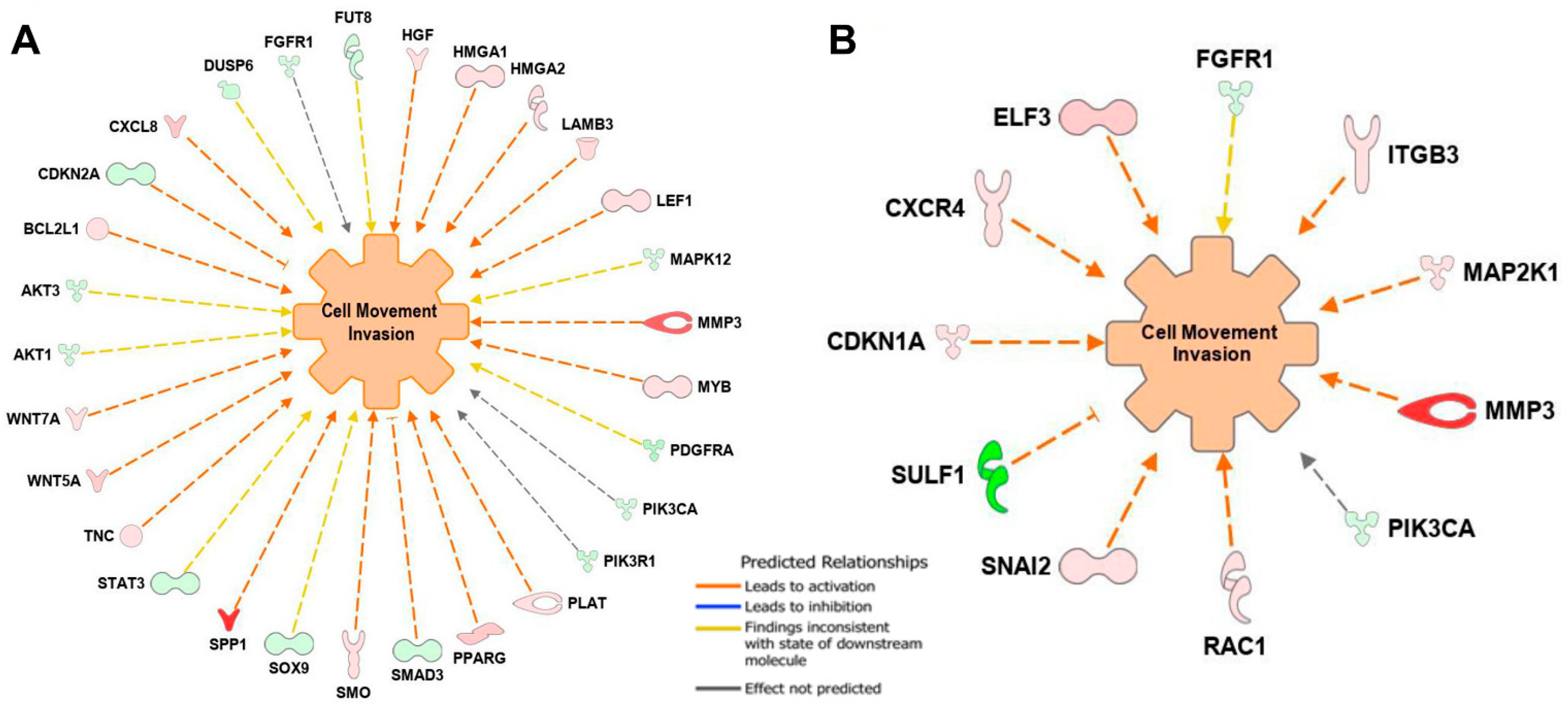 Biomedicines 10 00917 g008