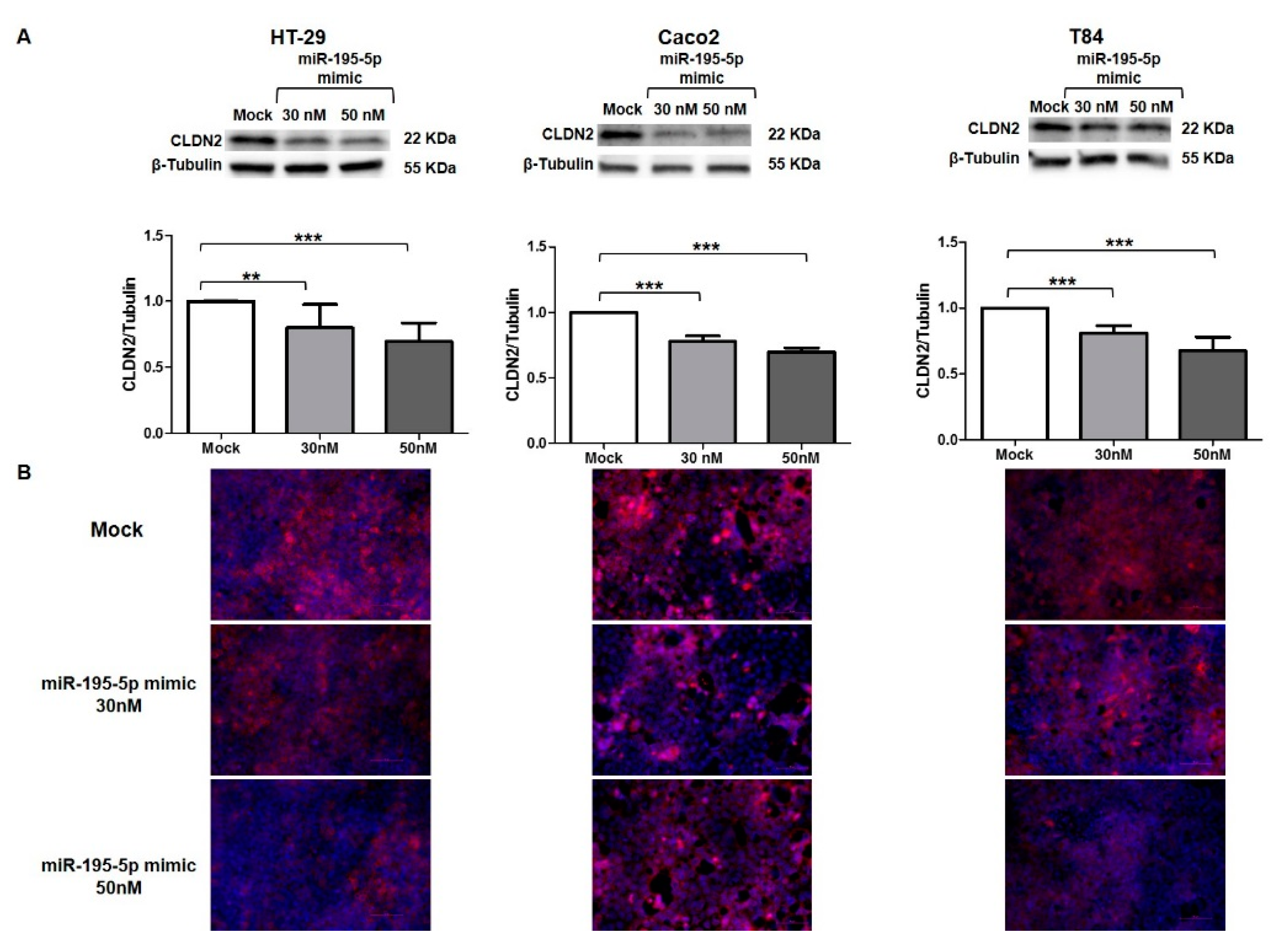 Biomedicines 10 00919 g005