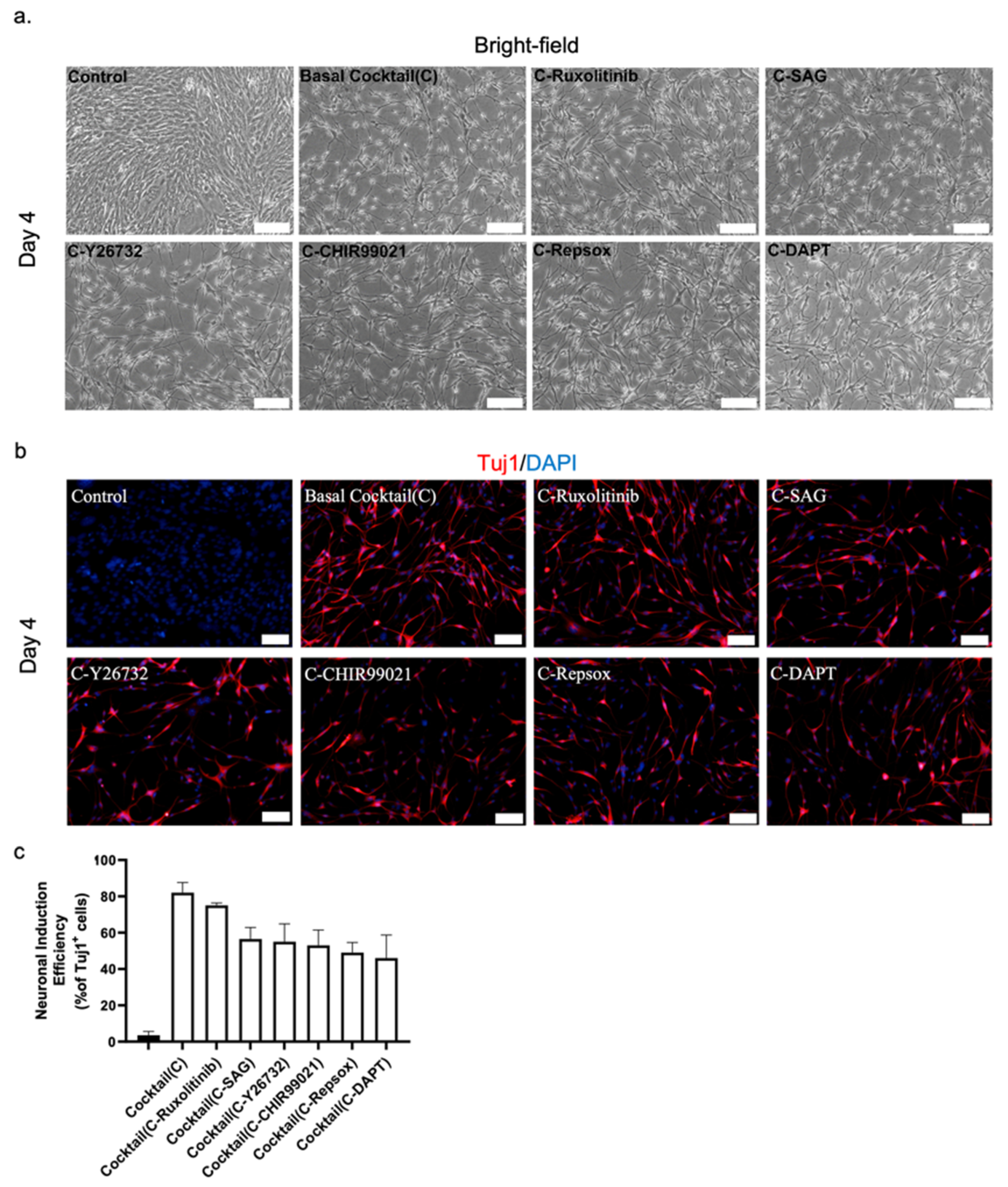 Biomedicines 10 00928 g002 Biomedicines 10 00928 g002