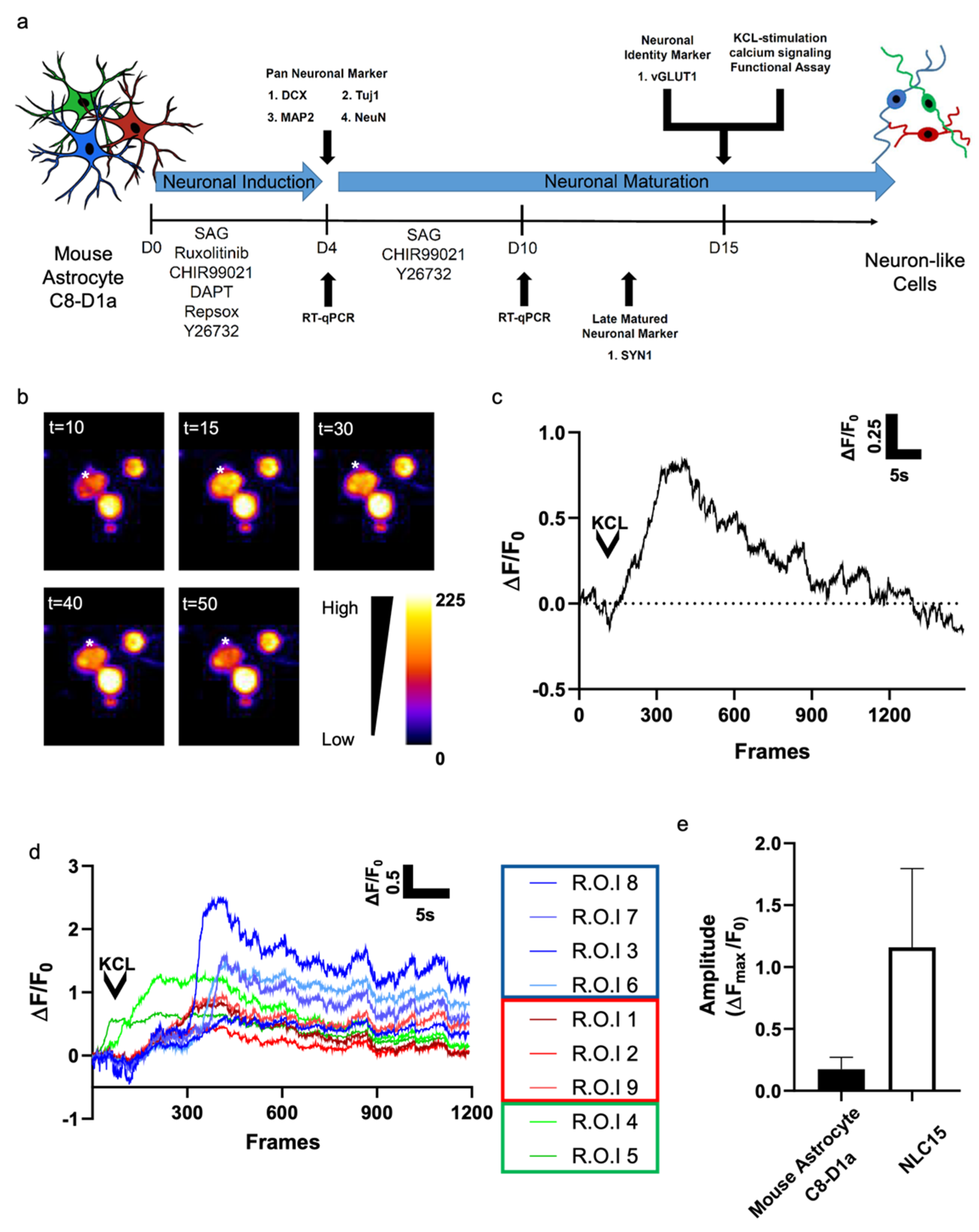 Biomedicines 10 00928 g004 Biomedicines 10 00928 g004