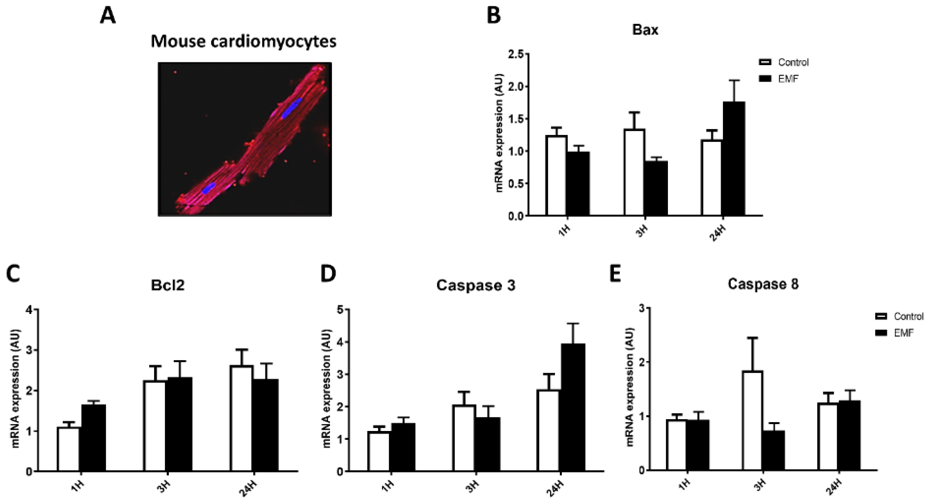 Biomedicines 10 00929 g002