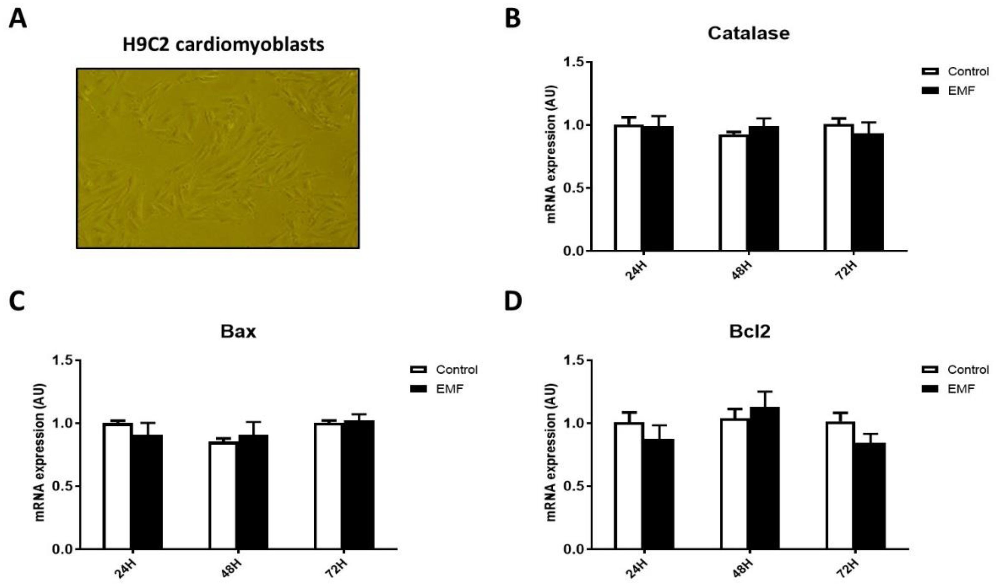 Biomedicines 10 00929 g004
