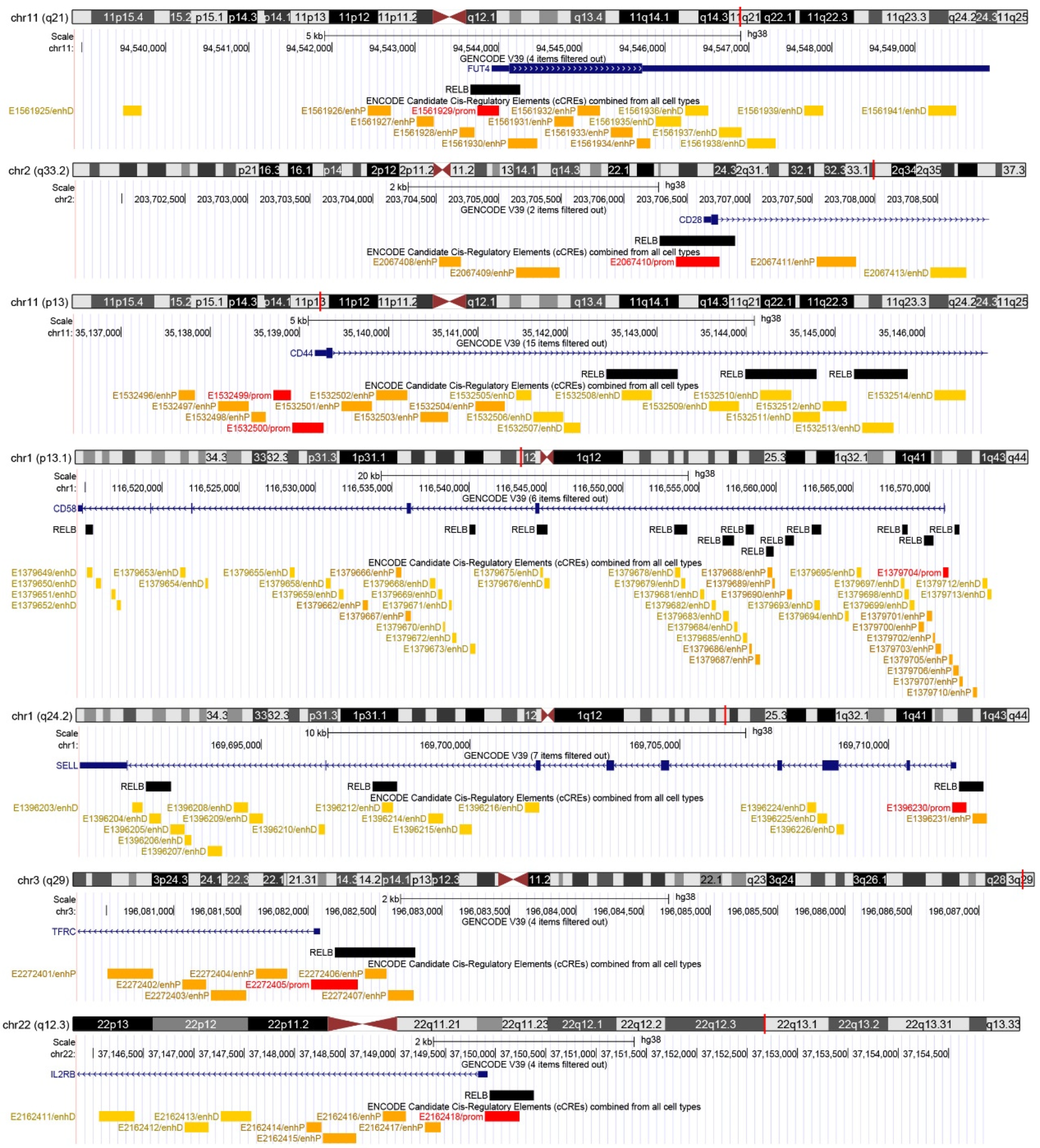 Biomedicines 10 00935 g001