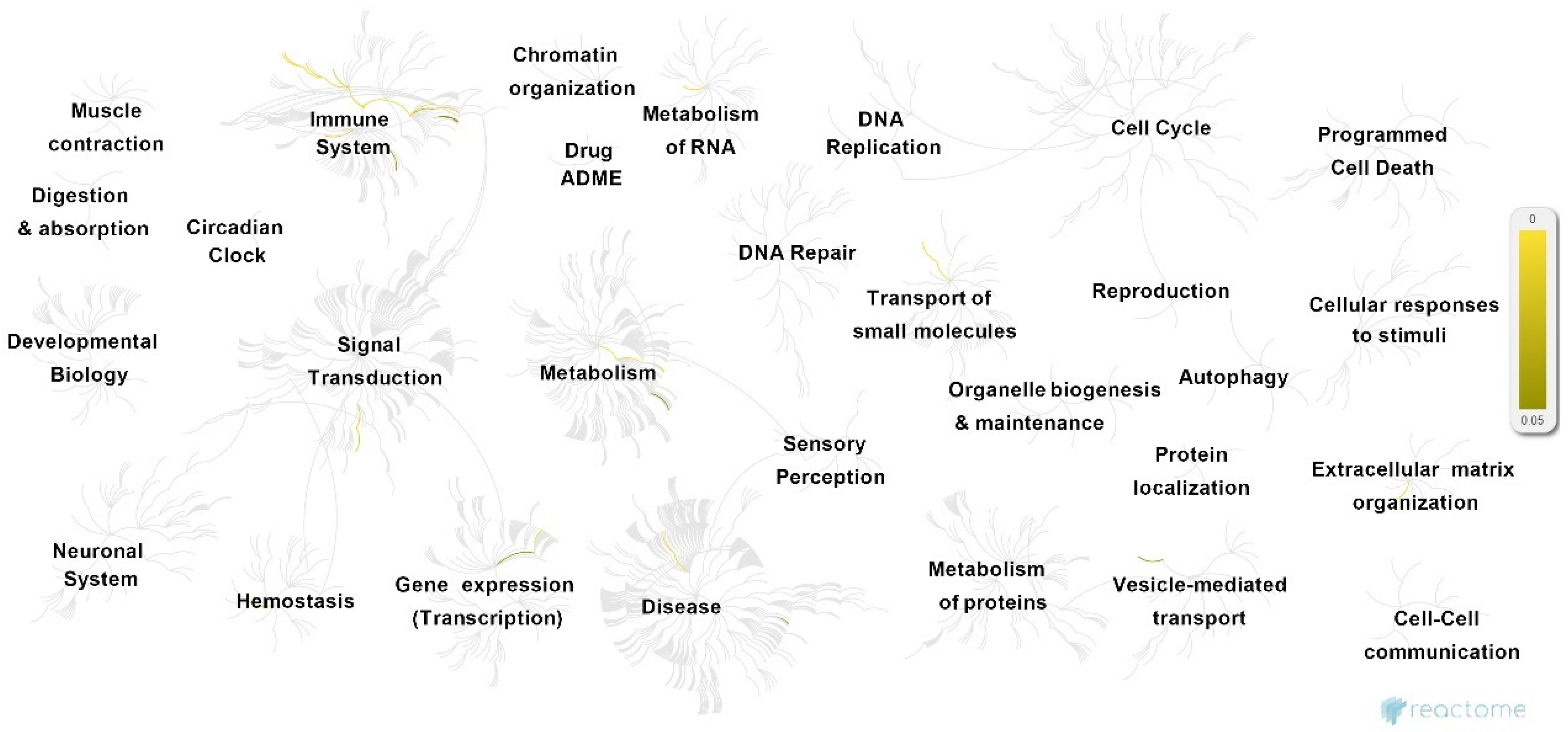 Biomedicines 10 00935 g003