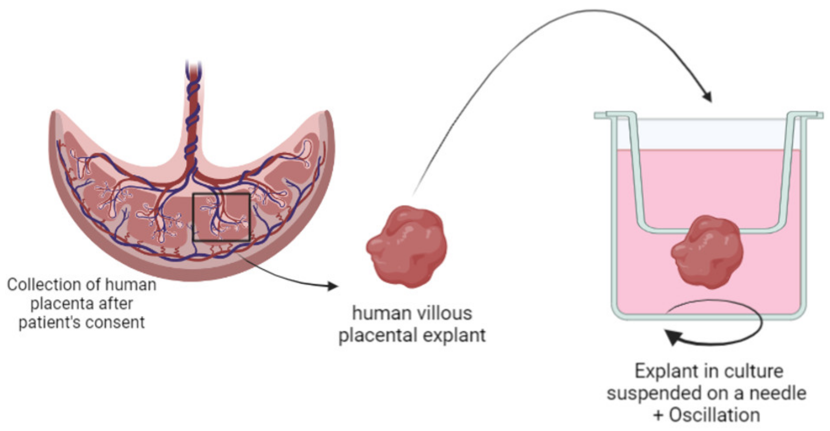 Biomedicines 10 00936 g005