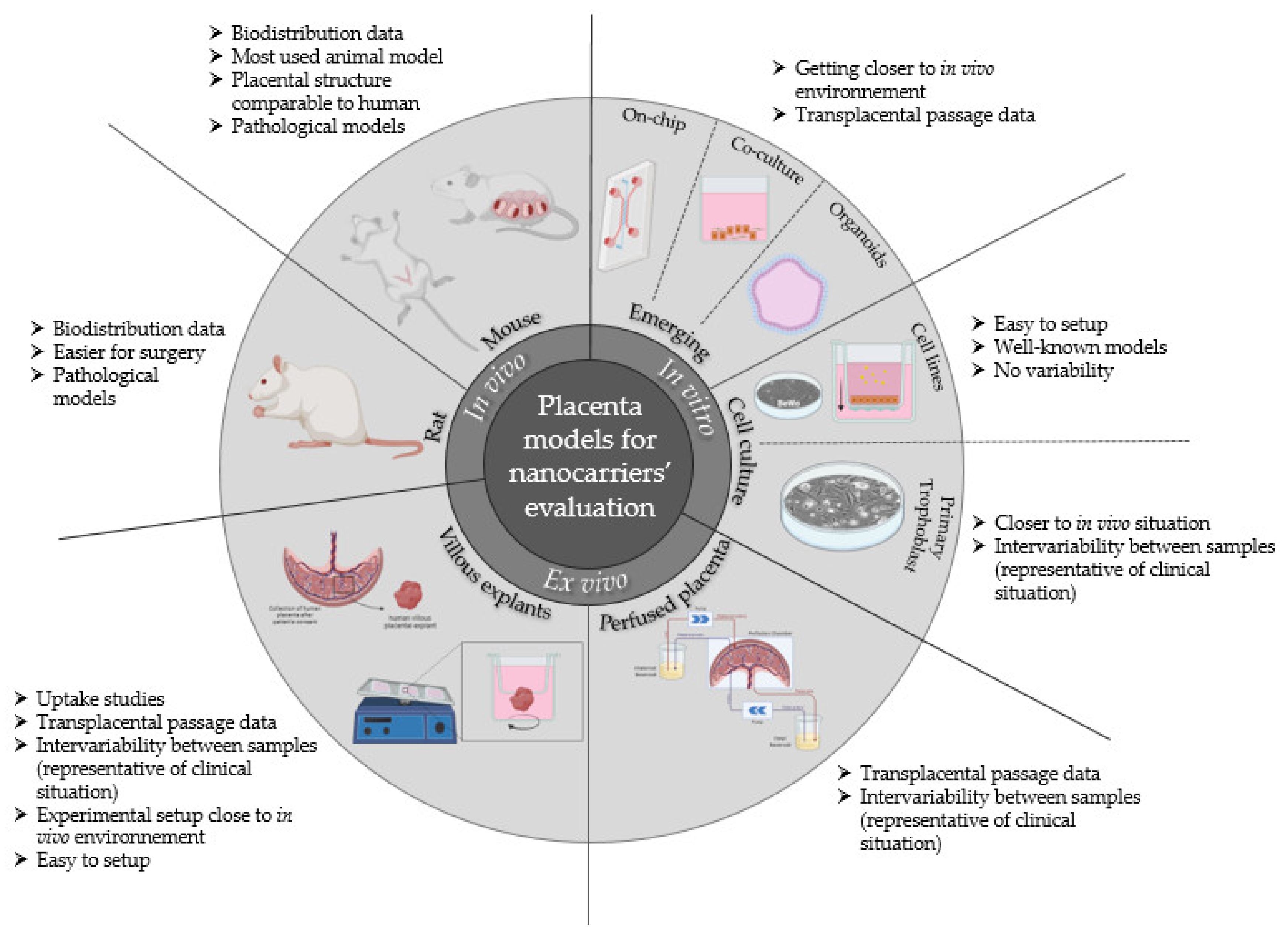Biomedicines 10 00936 g006