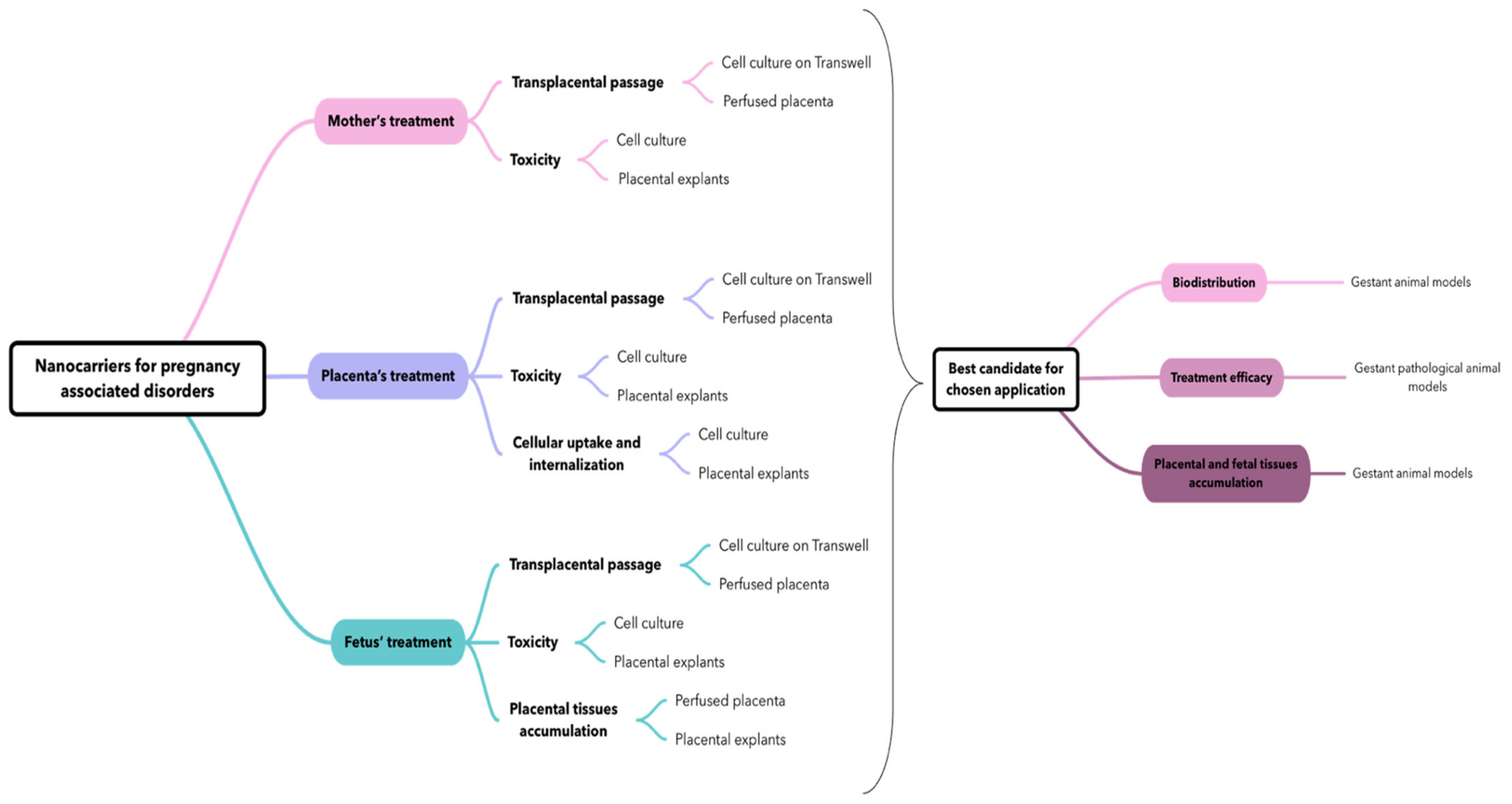 Biomedicines 10 00936 g007