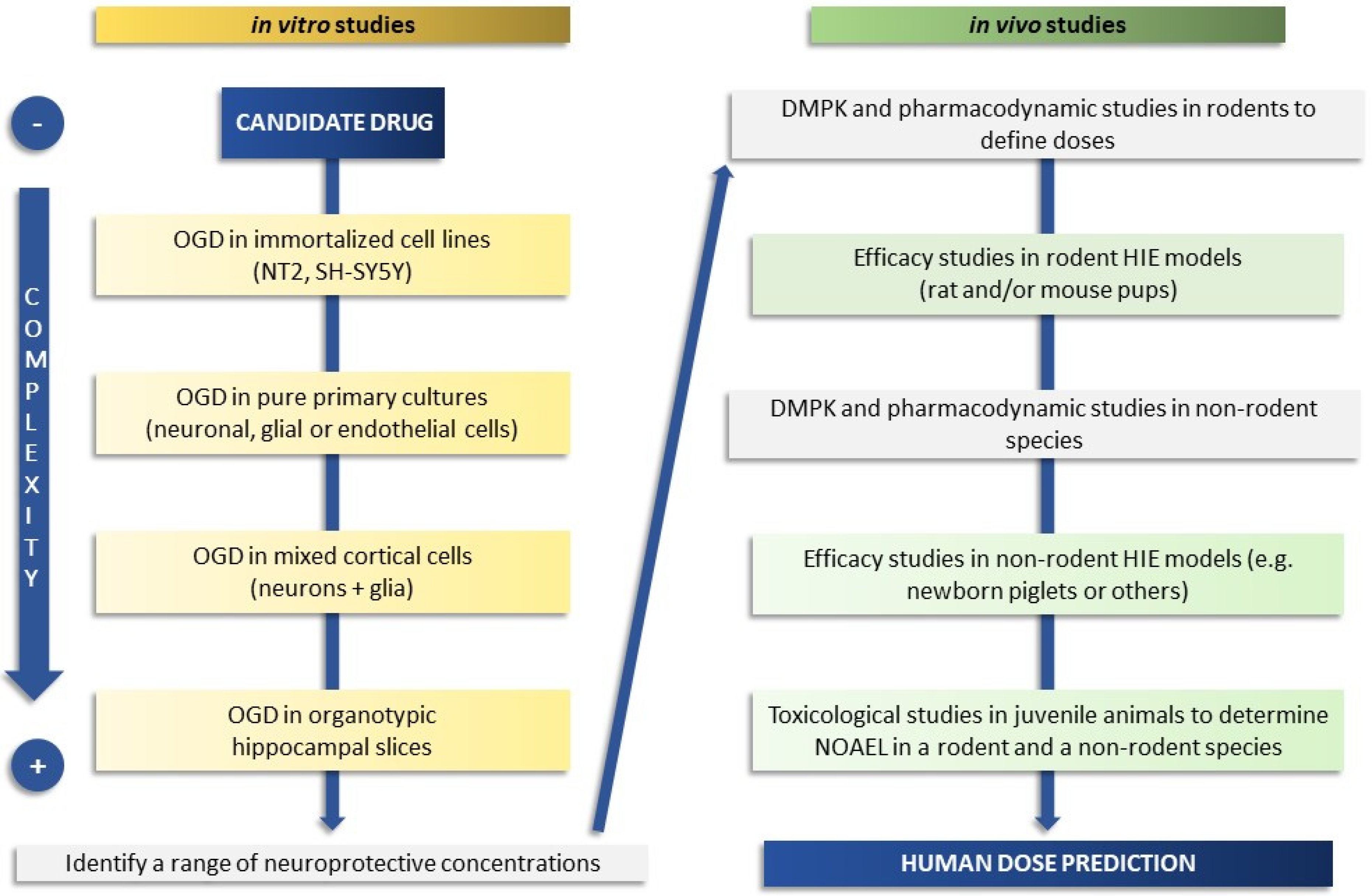 Biomedicines 10 00937 g001 Biomedicines 10 00937 g001