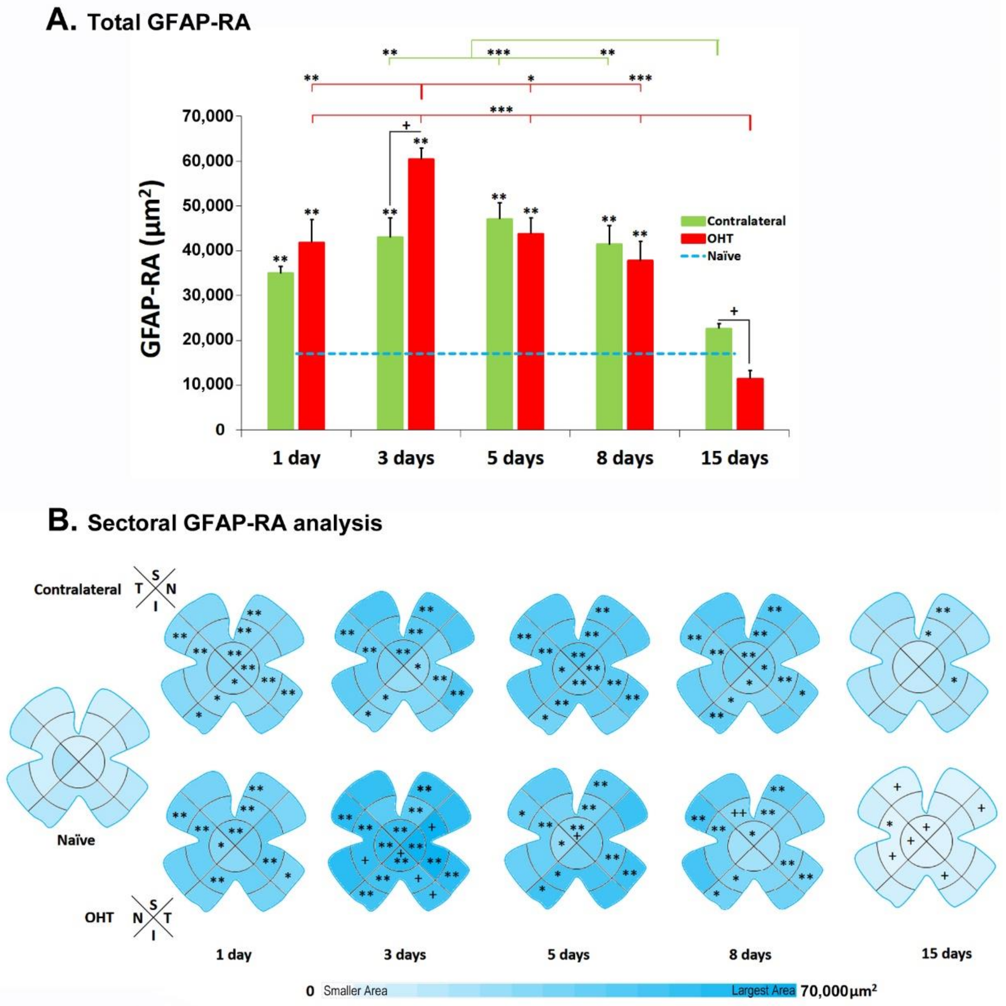 Biomedicines 10 00939 g009