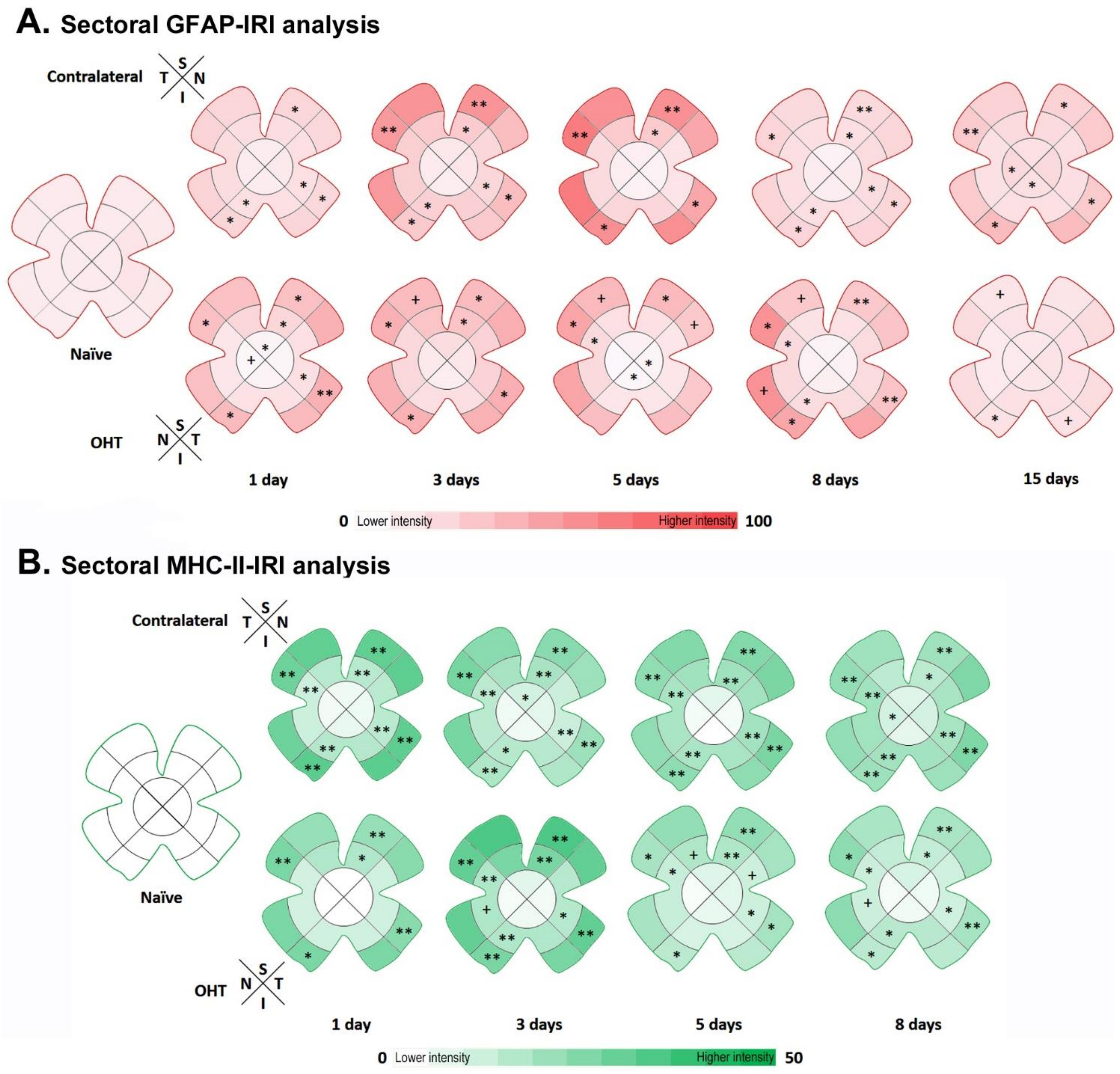Biomedicines 10 00939 g010
