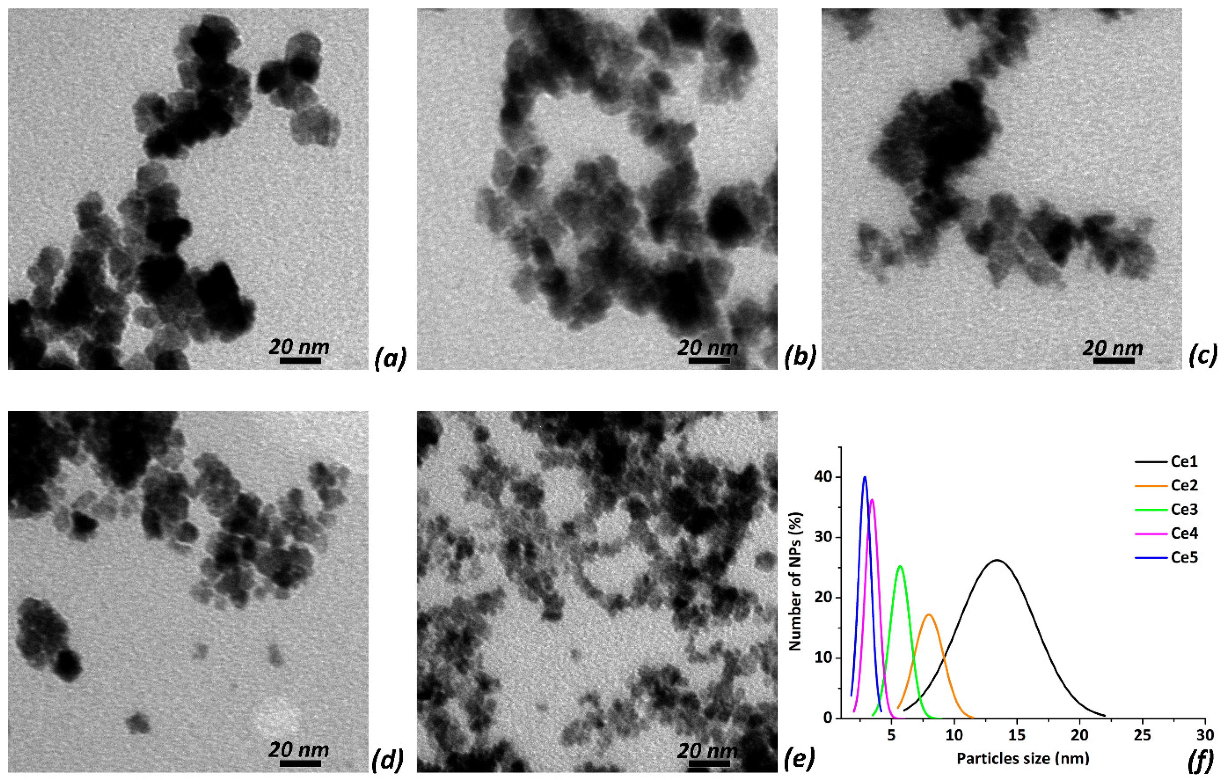 Biomedicines 10 00942 g001