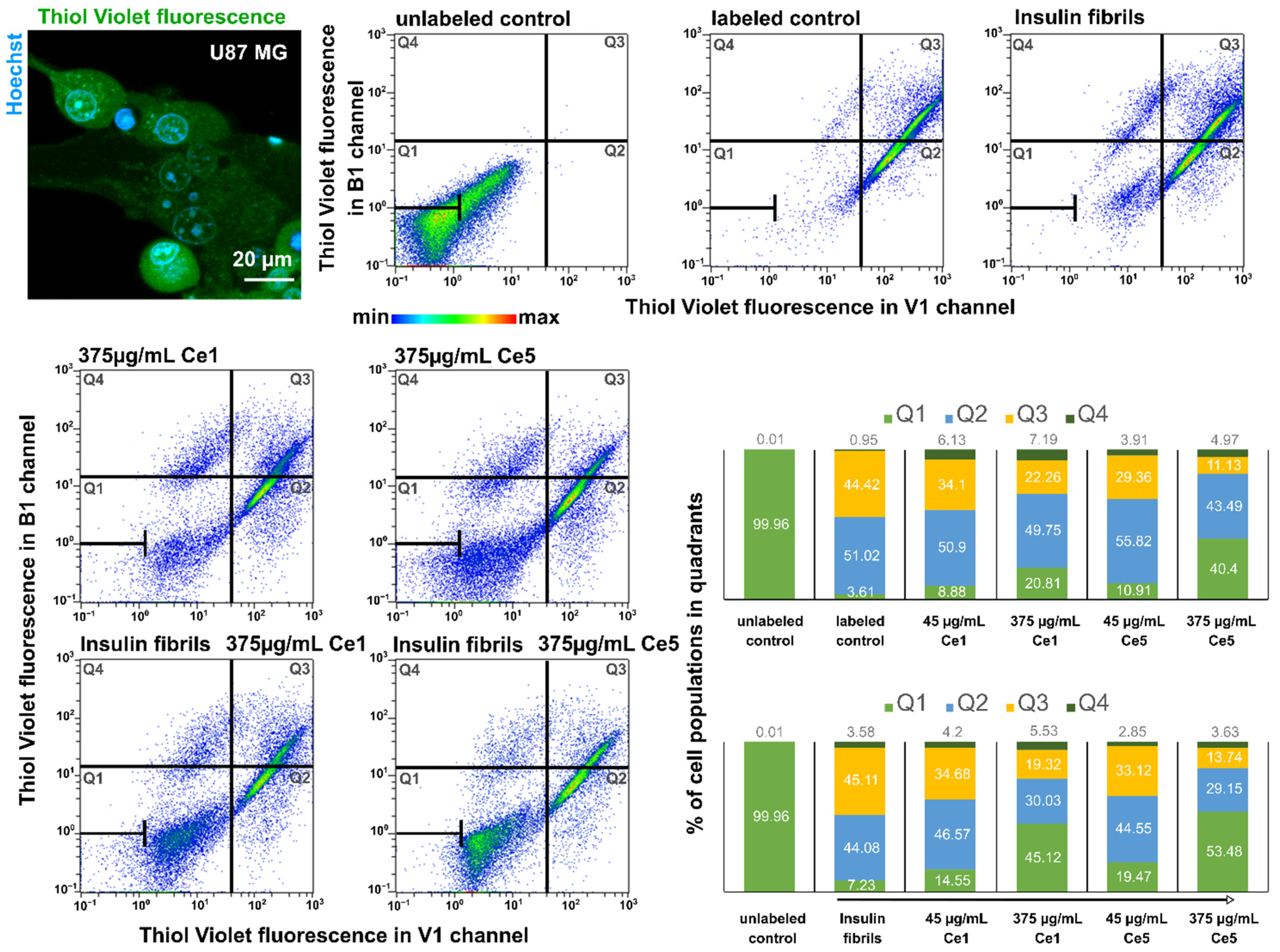 Biomedicines 10 00942 g009