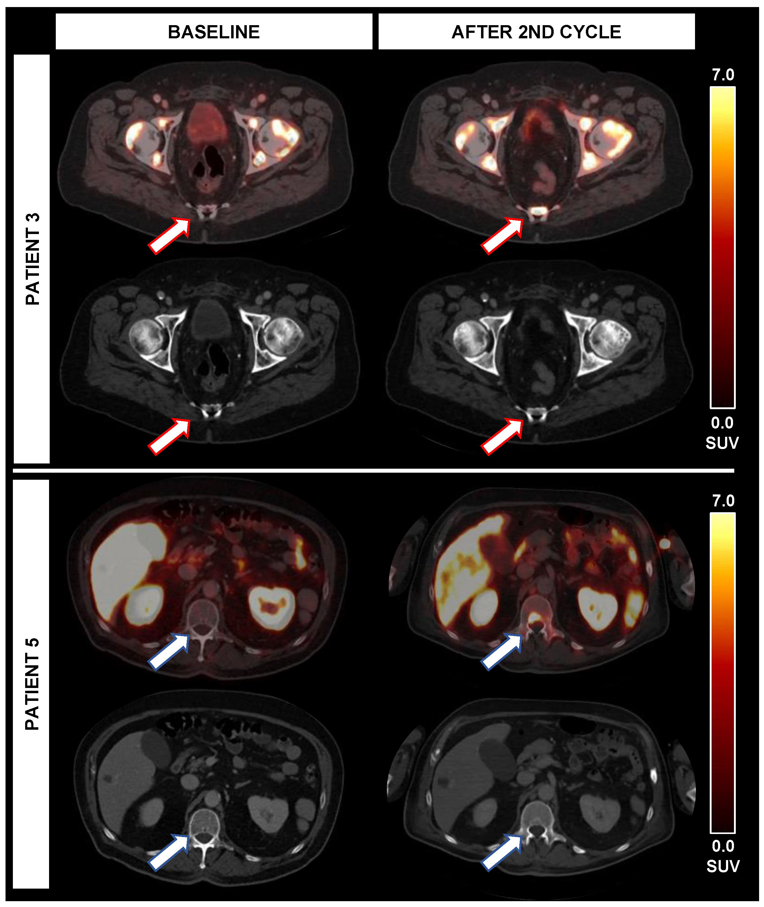 Biomedicines 10 00946 g003