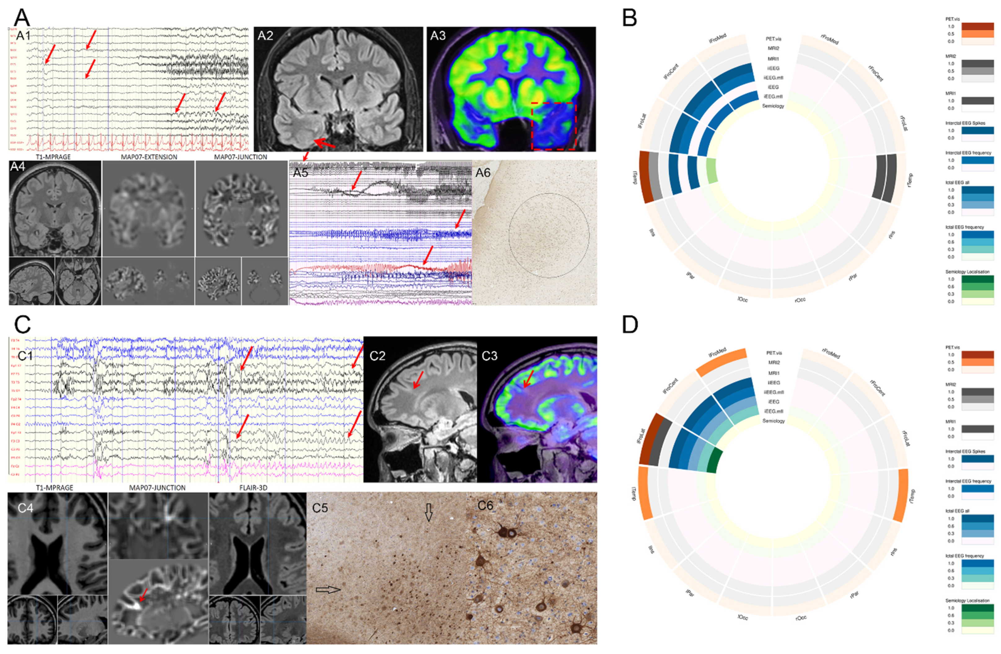 Biomedicines 10 00949 g001