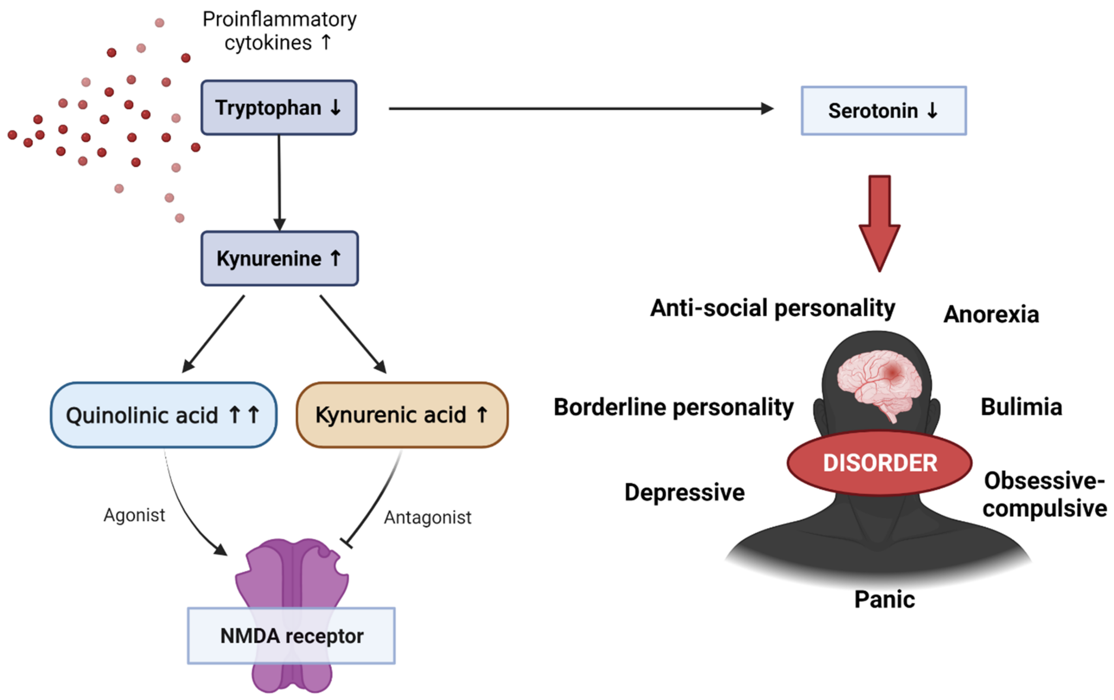 Biomedicines 10 00953 g004