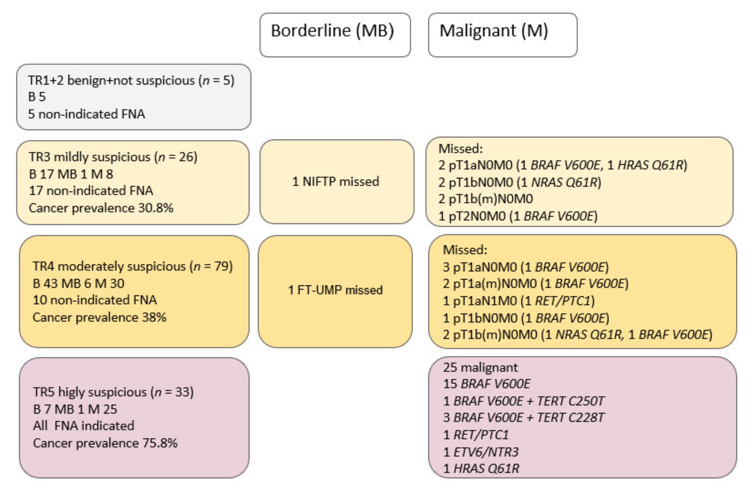 Biomedicines 10 00954 g002