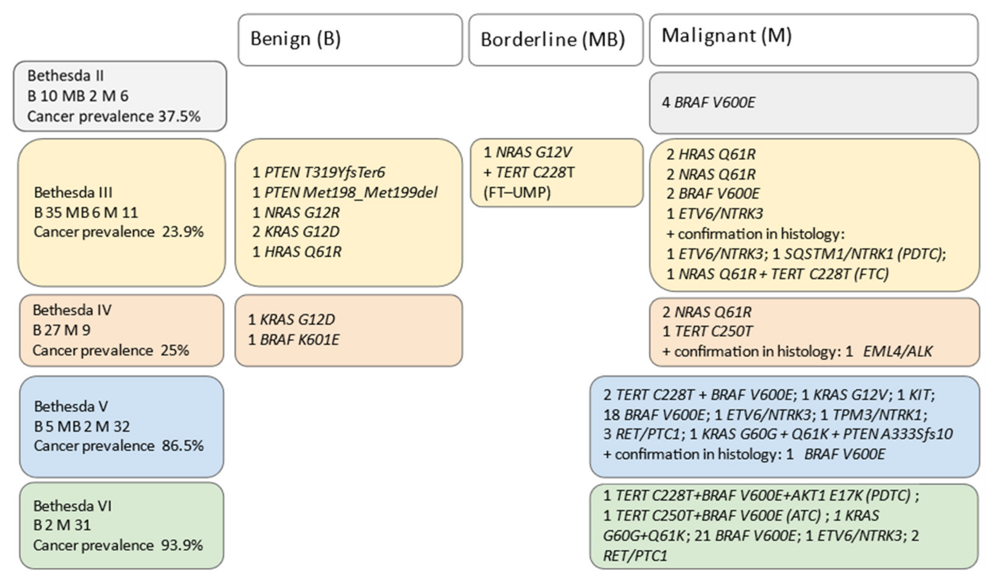 Biomedicines 10 00954 g003