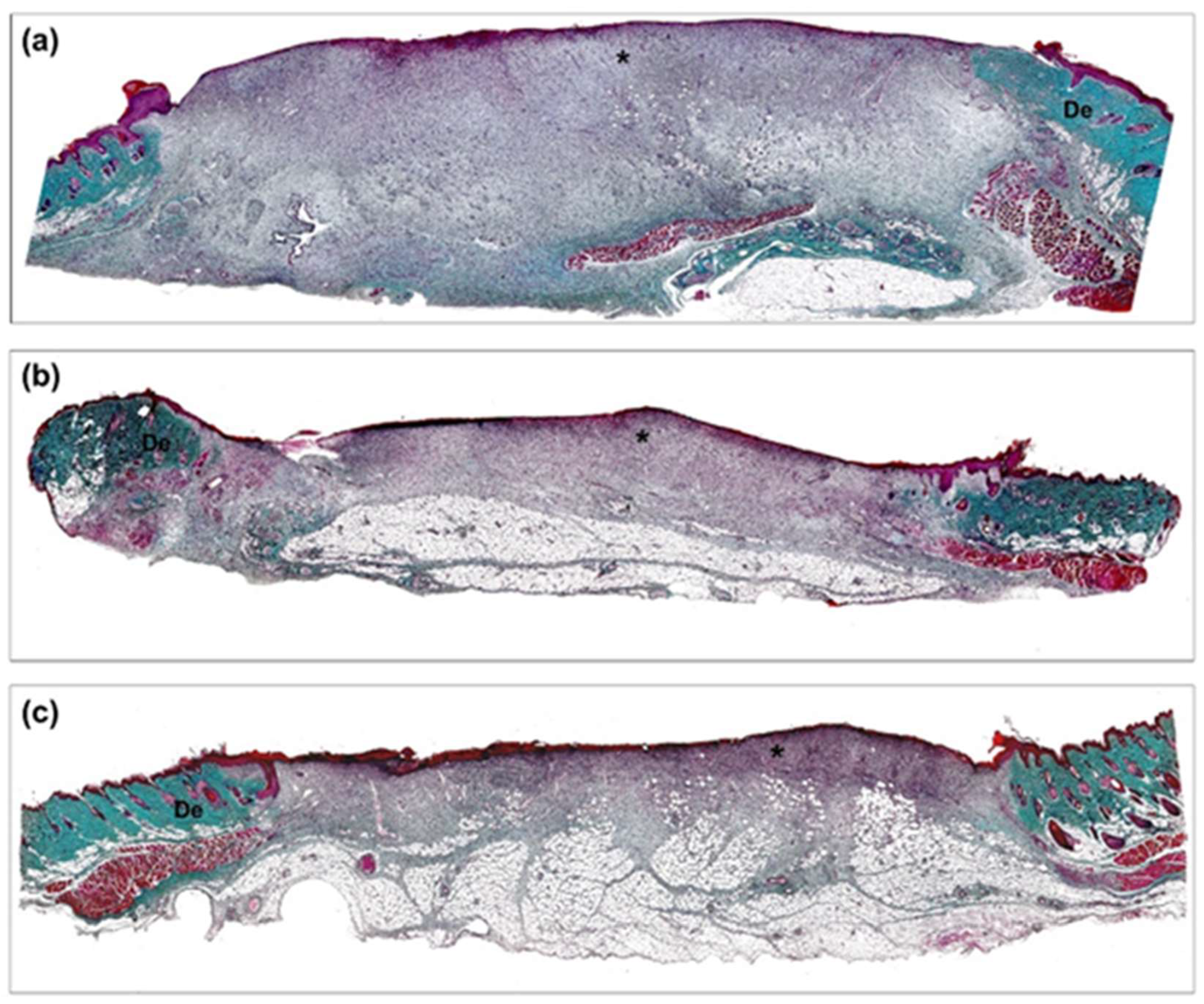 Biomedicines 10 00960 g006