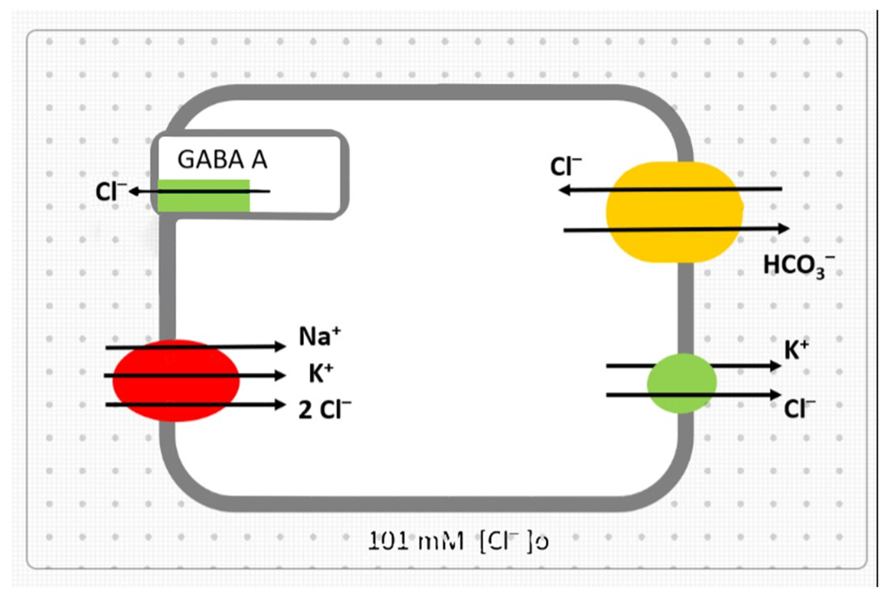 Biomedicines 10 00968 g001