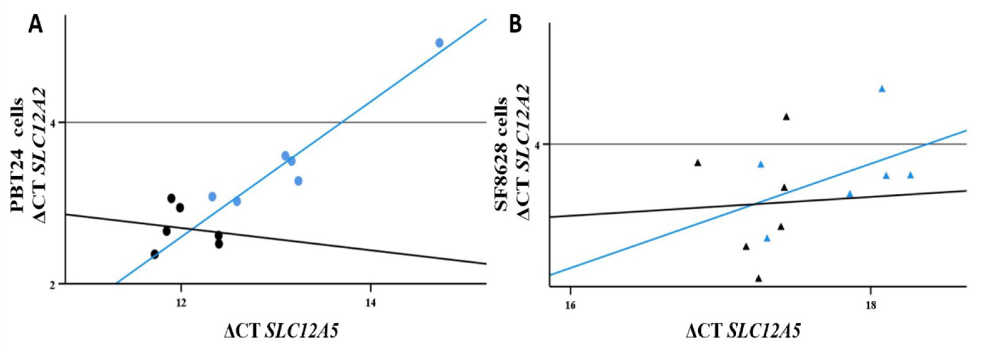 Biomedicines 10 00968 g004