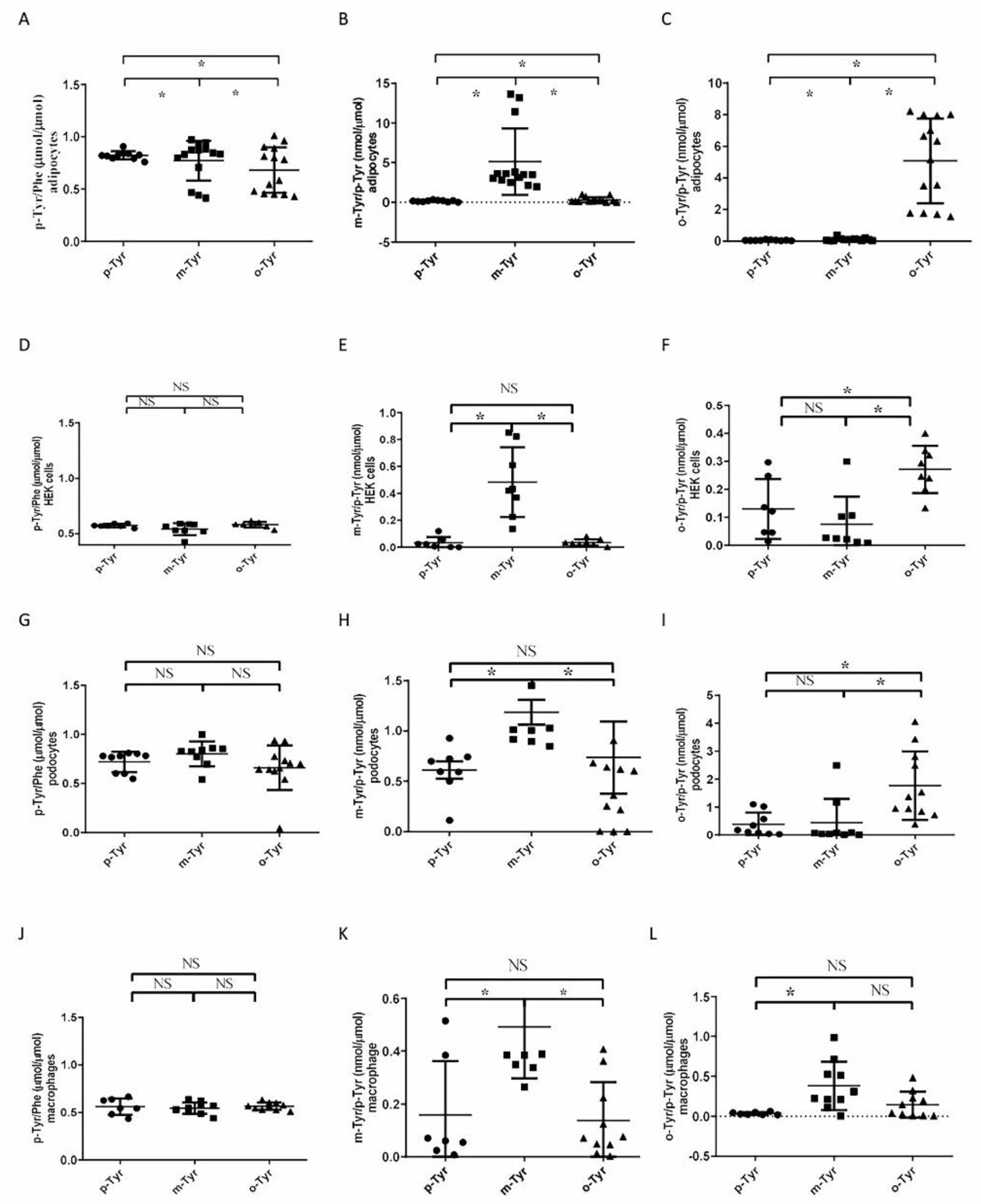 Biomedicines 10 00975 g007 Biomedicines 10 00975 g007