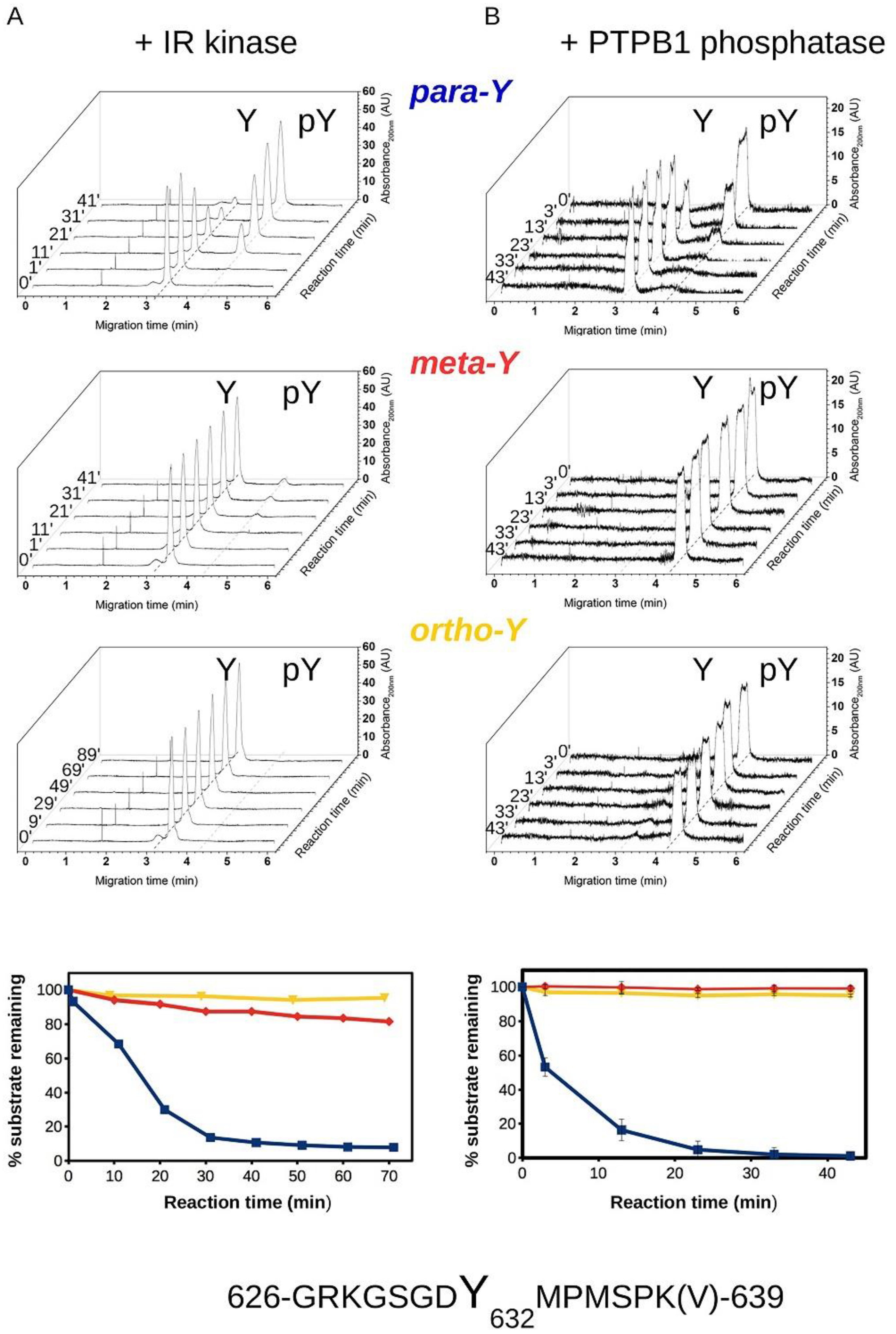 Biomedicines 10 00975 g010 Biomedicines 10 00975 g010