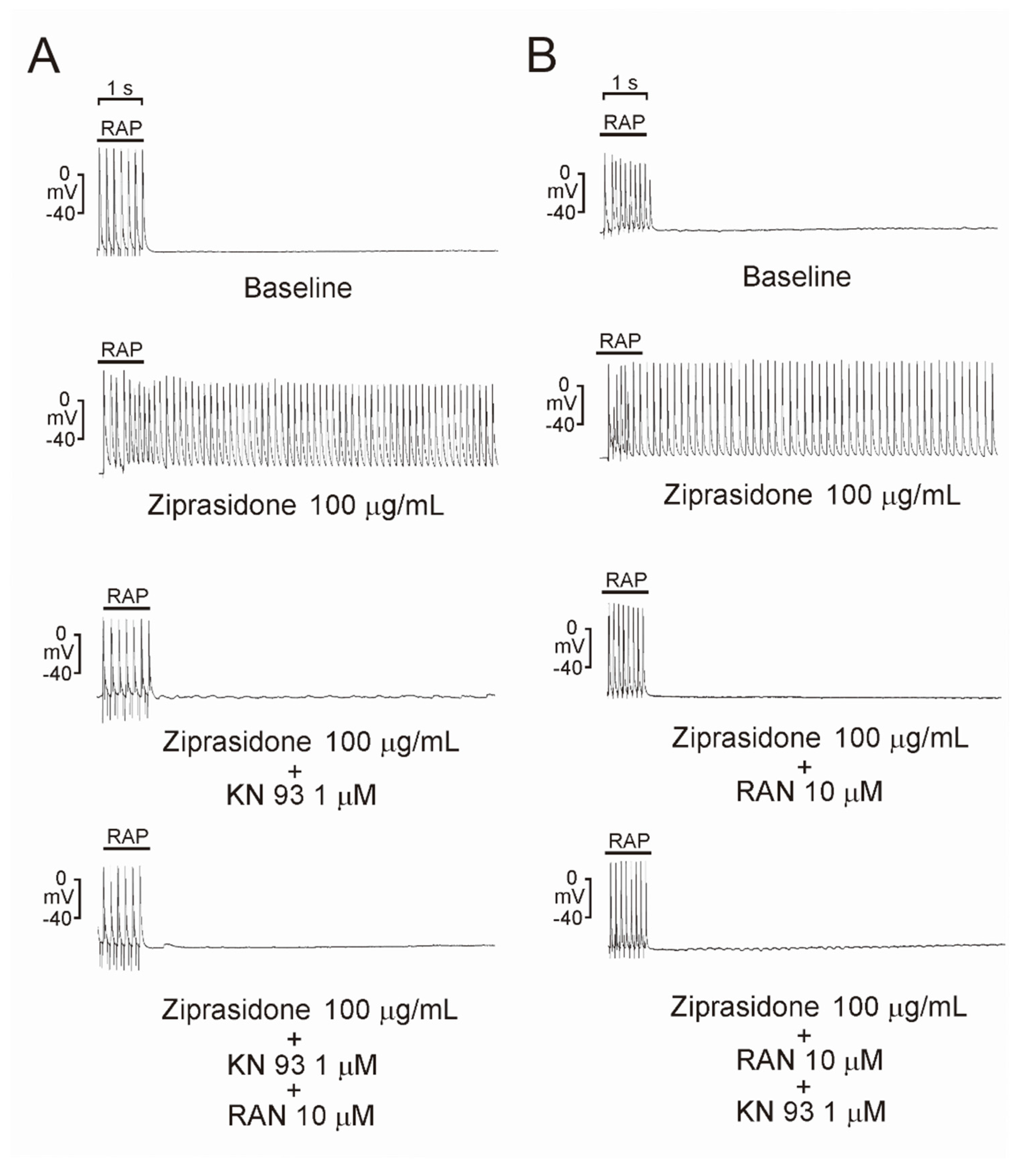Biomedicines 10 00976 g002 Biomedicines 10 00976 g002
