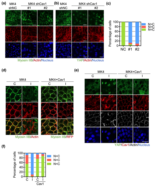 Biomedicines 10 00977 g003 Biomedicines 10 00977 g003
