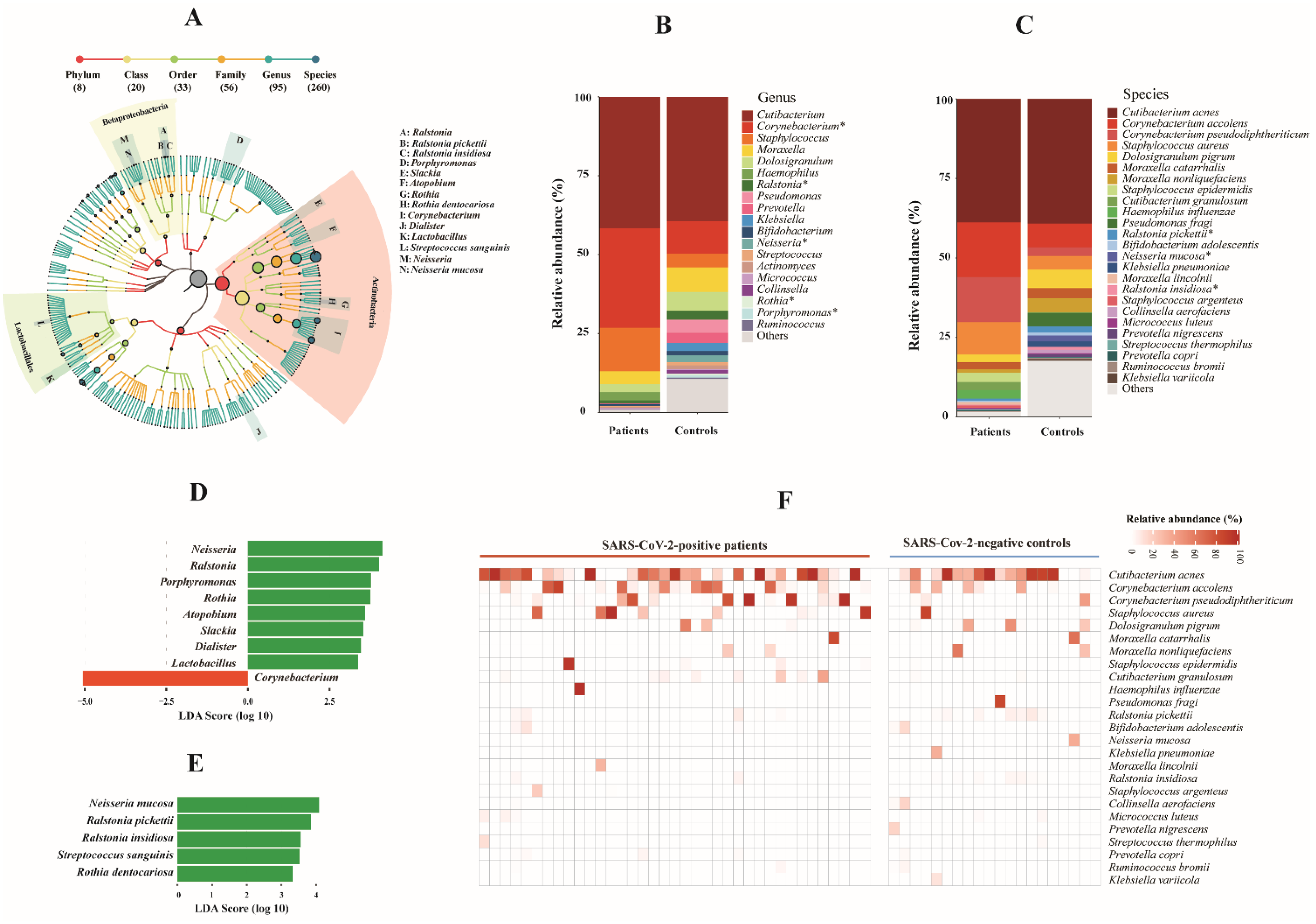 Biomedicines 10 00982 g001