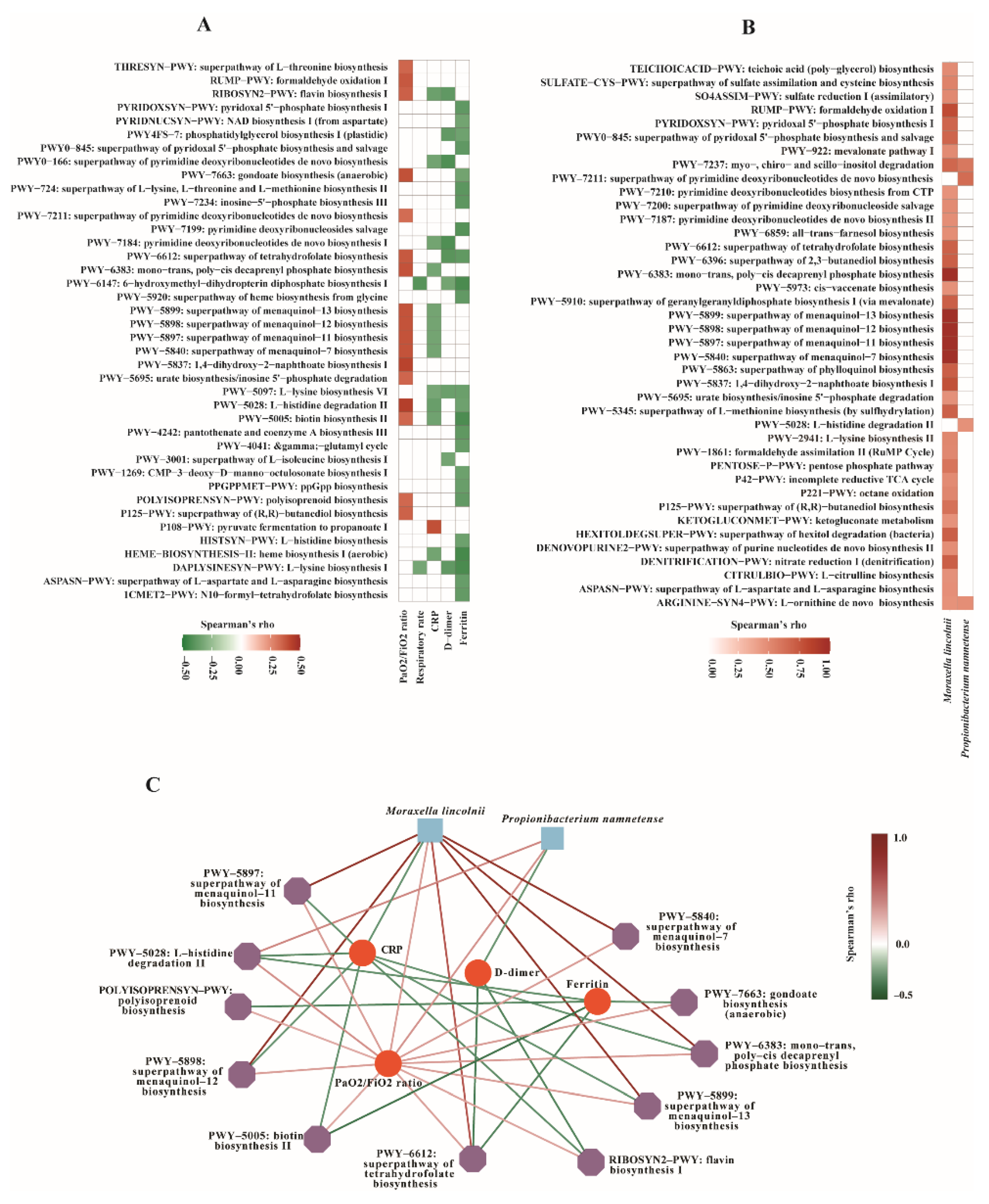 Biomedicines 10 00982 g004