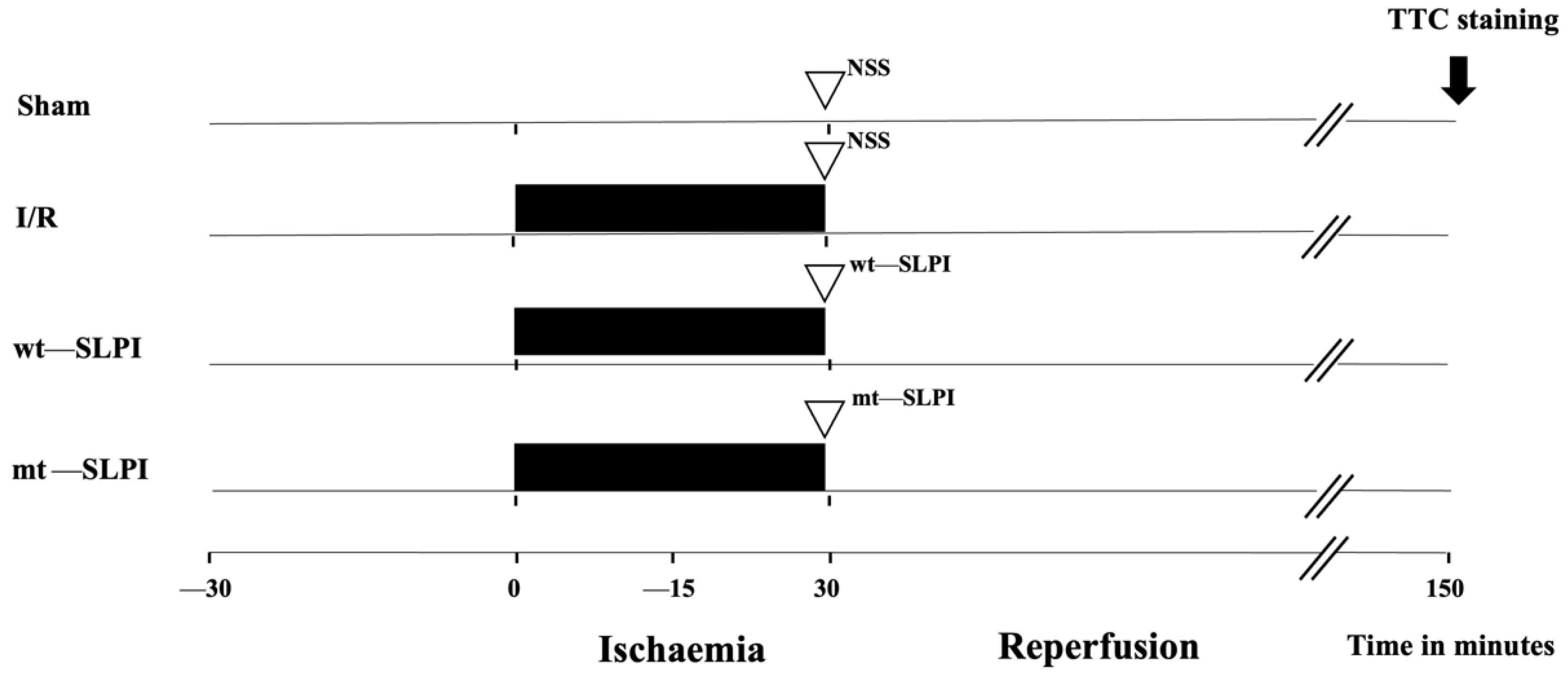 Biomedicines 10 00988 g001