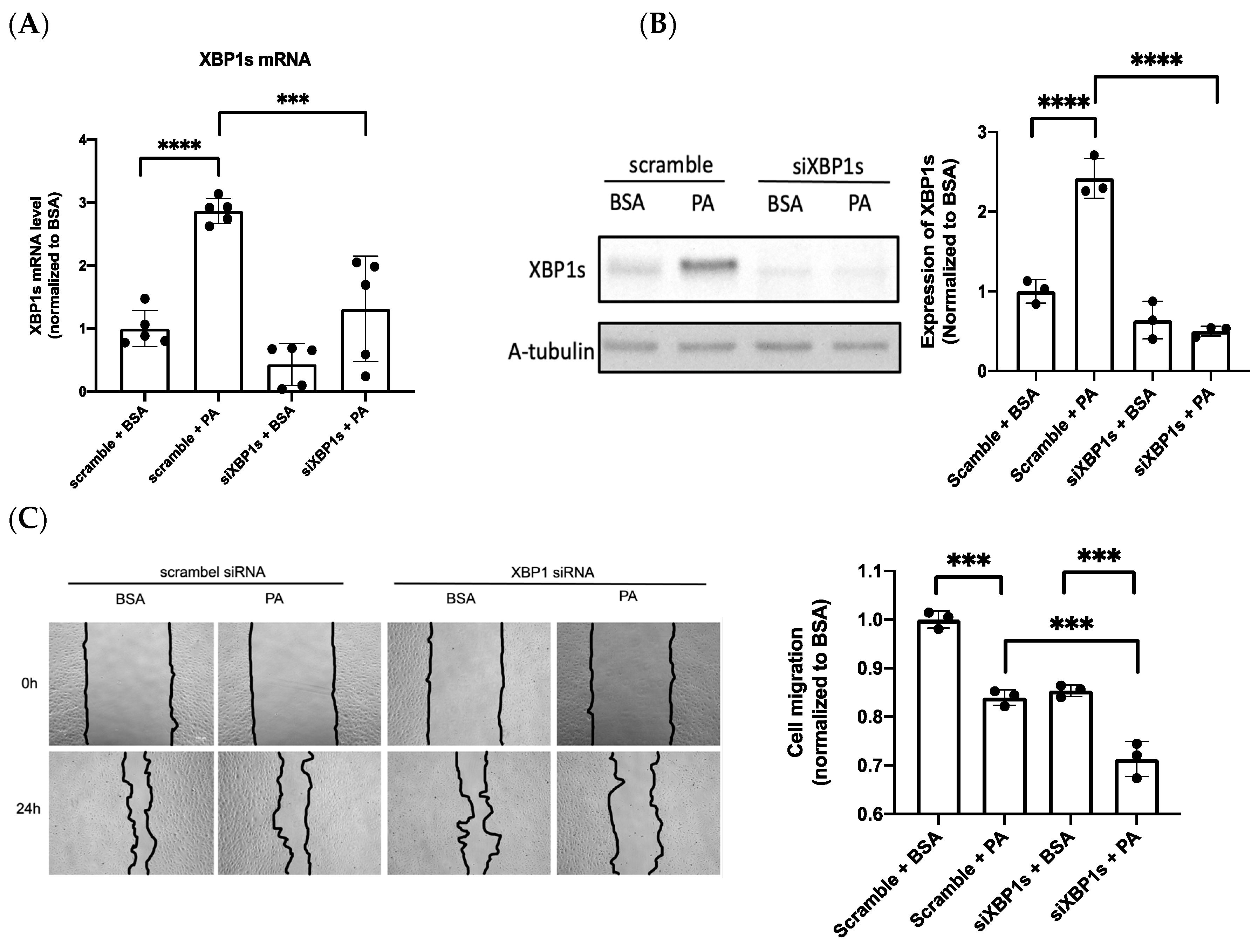 Biomedicines 10 00992 g003a Biomedicines 10 00992 g003a