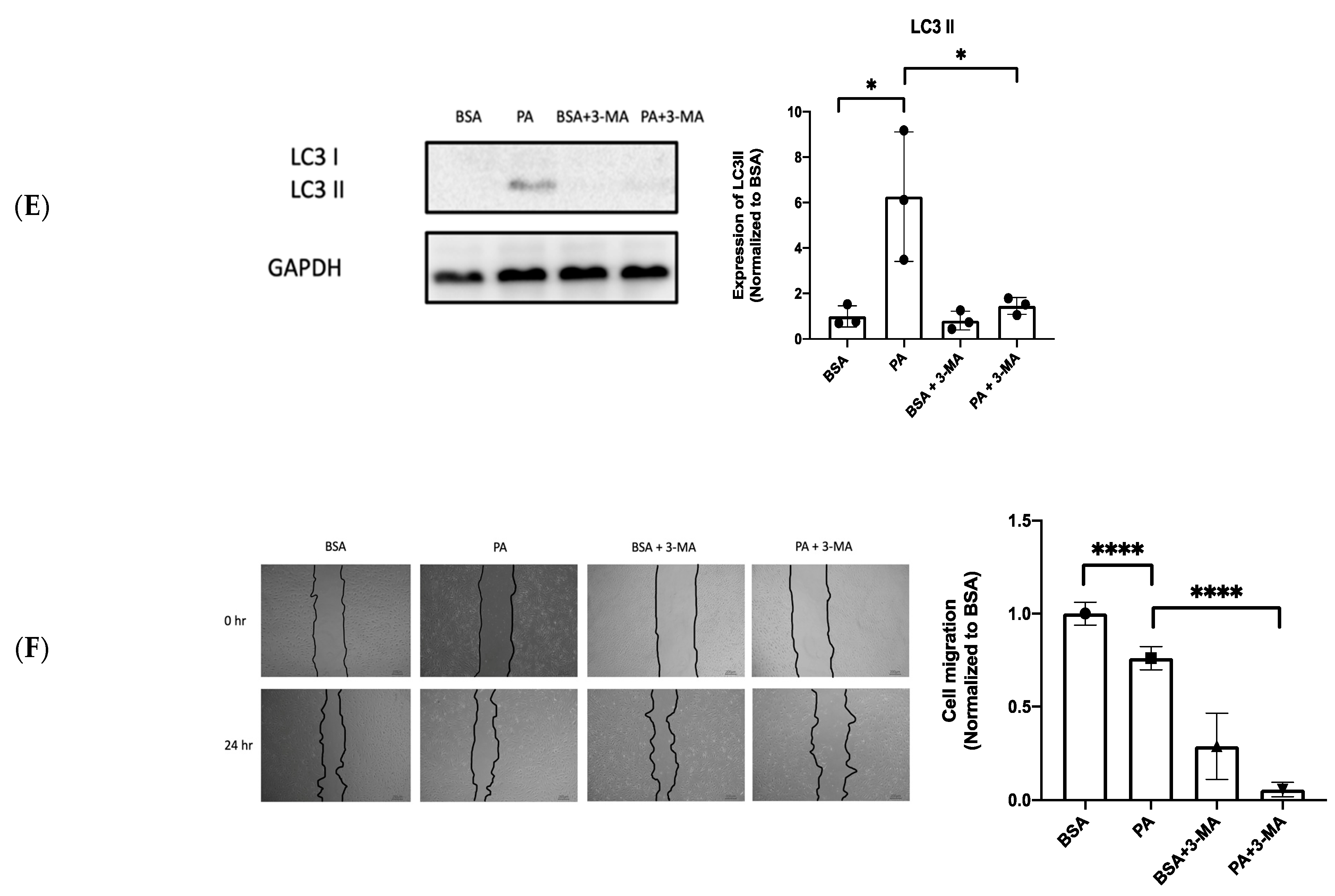 Biomedicines 10 00992 g004b Biomedicines 10 00992 g004b