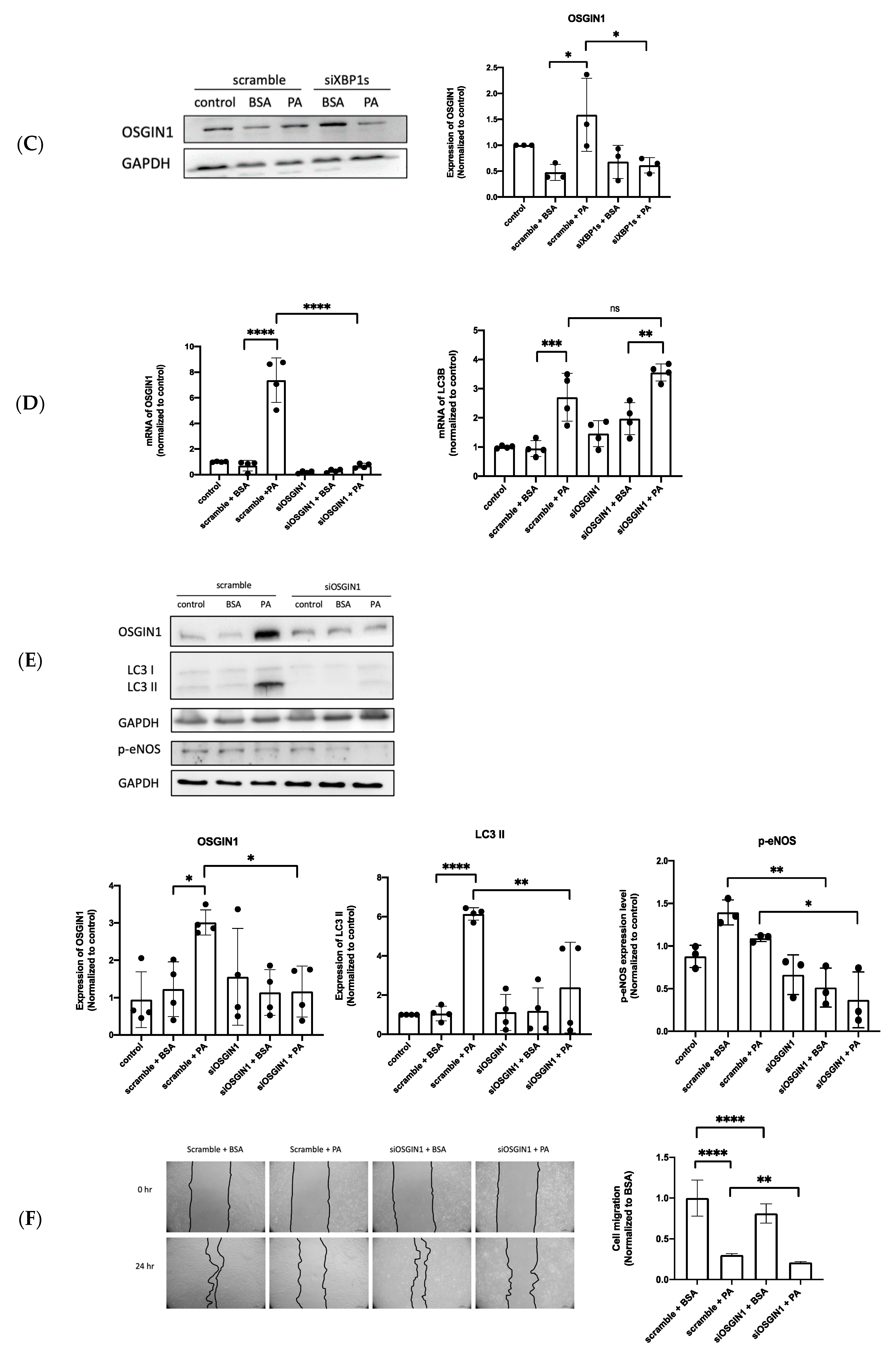 Biomedicines 10 00992 g005b Biomedicines 10 00992 g005b