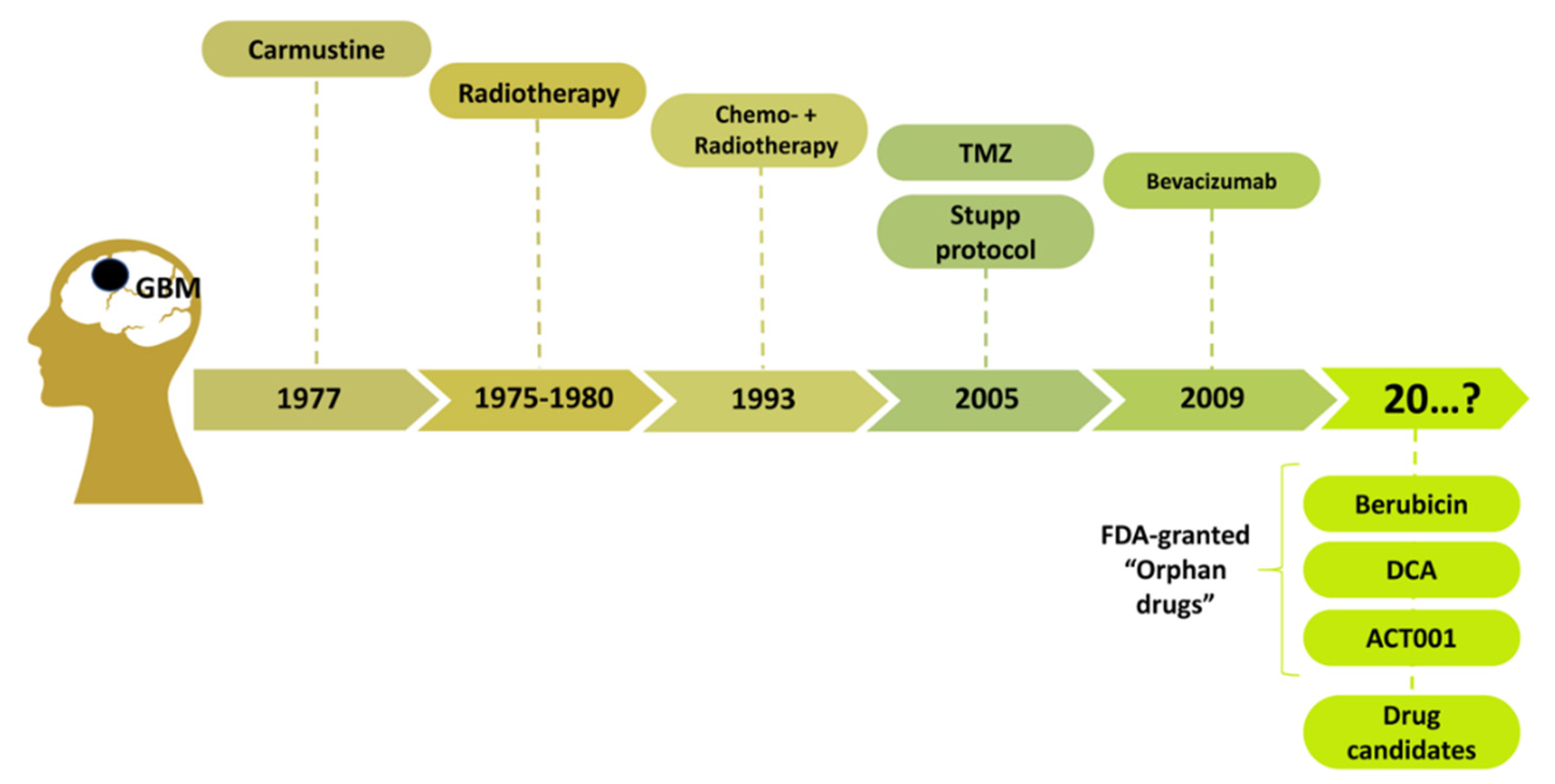 Biomedicines 10 01001 g001