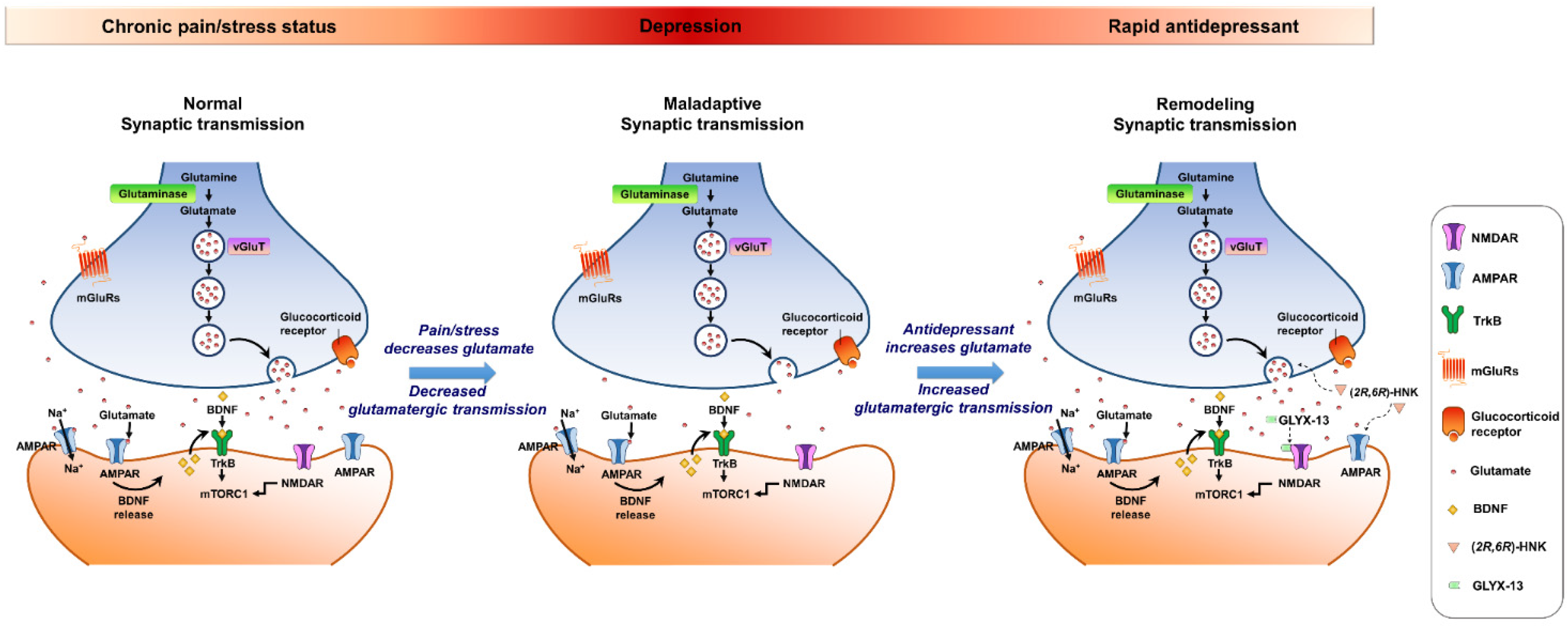 Biomedicines 10 01005 g002