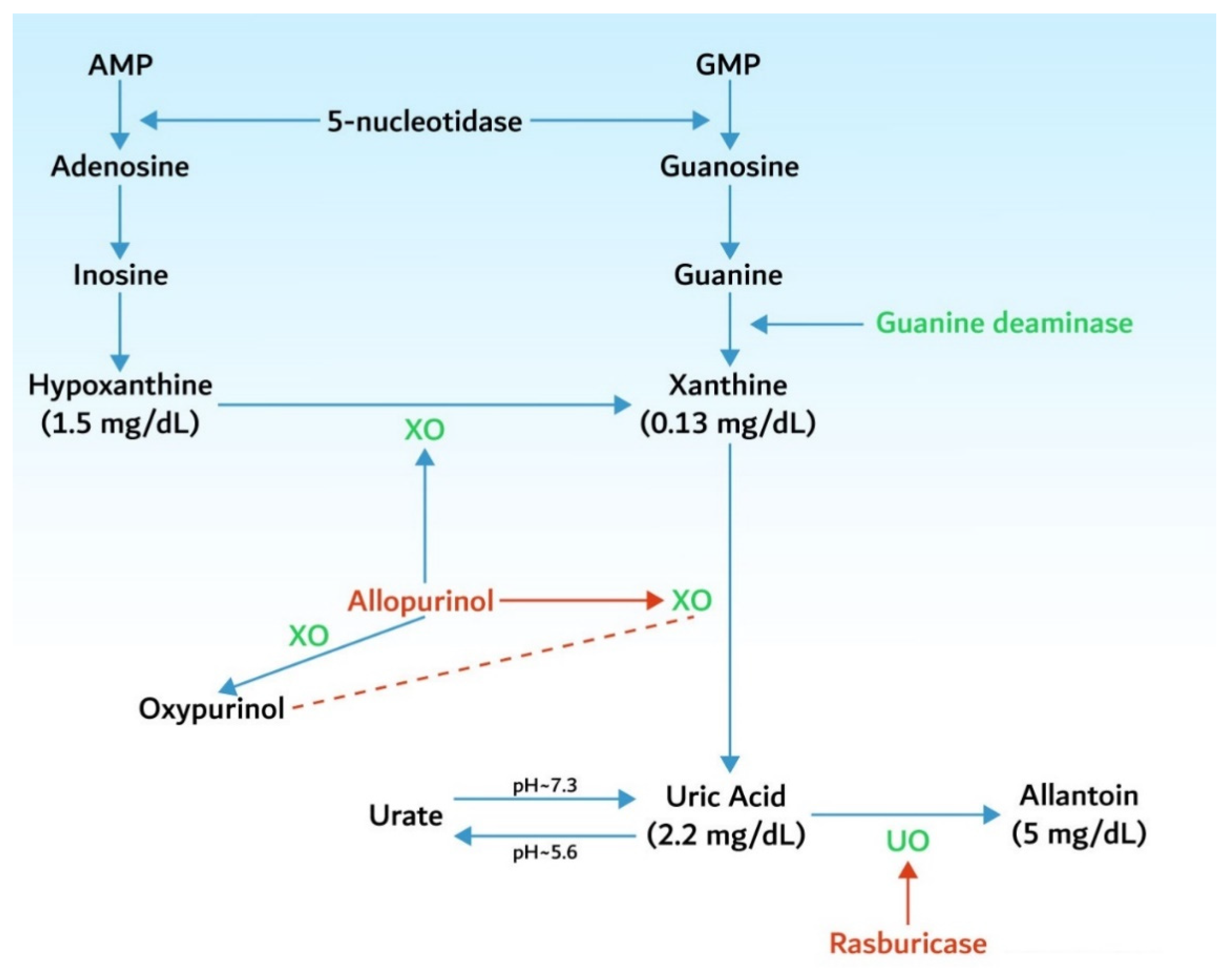 Biomedicines 10 01012 g002 Biomedicines 10 01012 g002