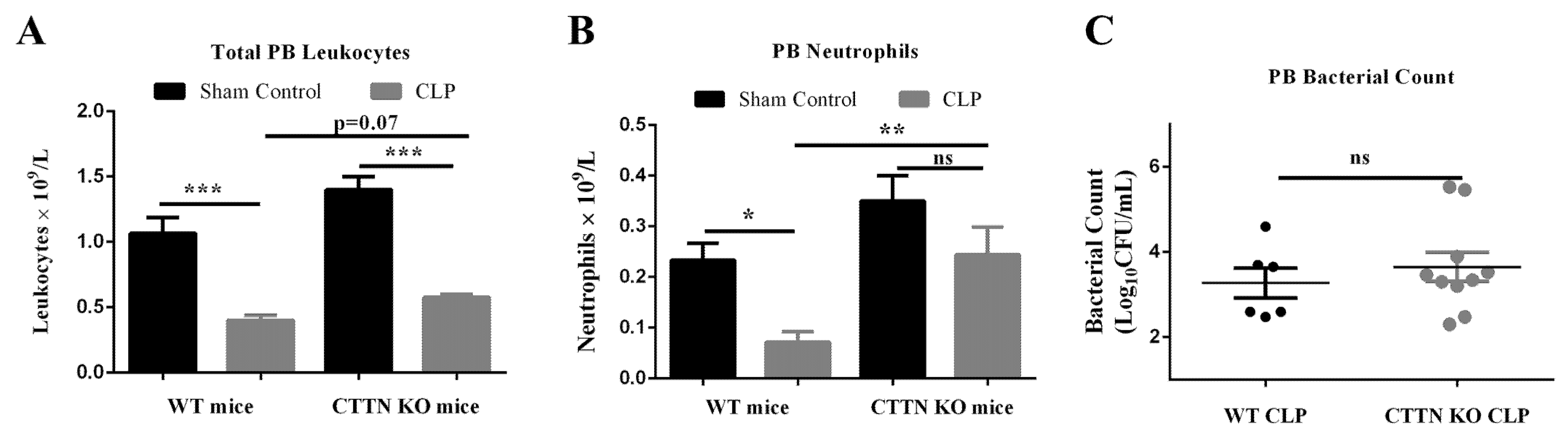 Biomedicines 10 01019 g007