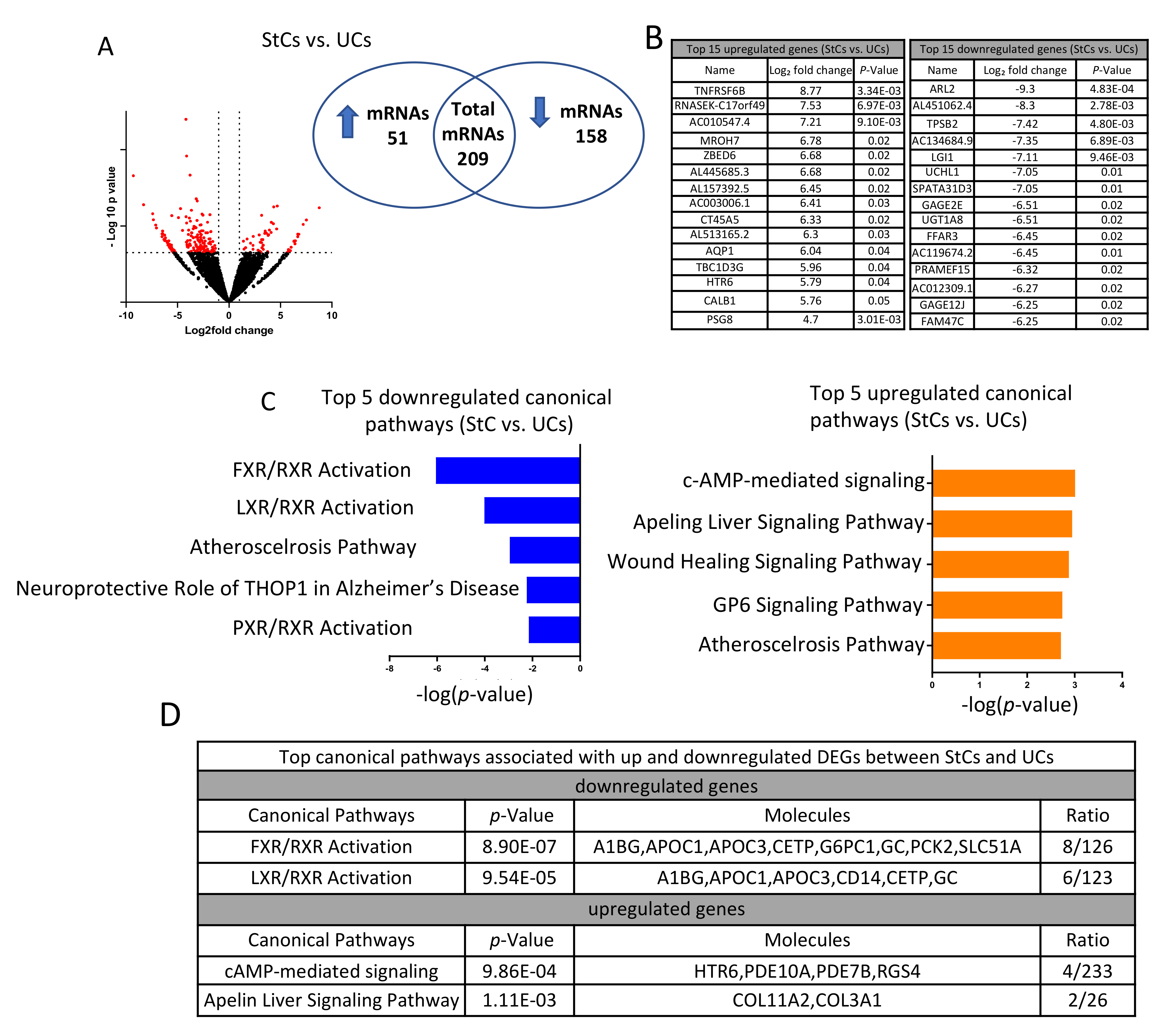 Biomedicines 10 01020 g002