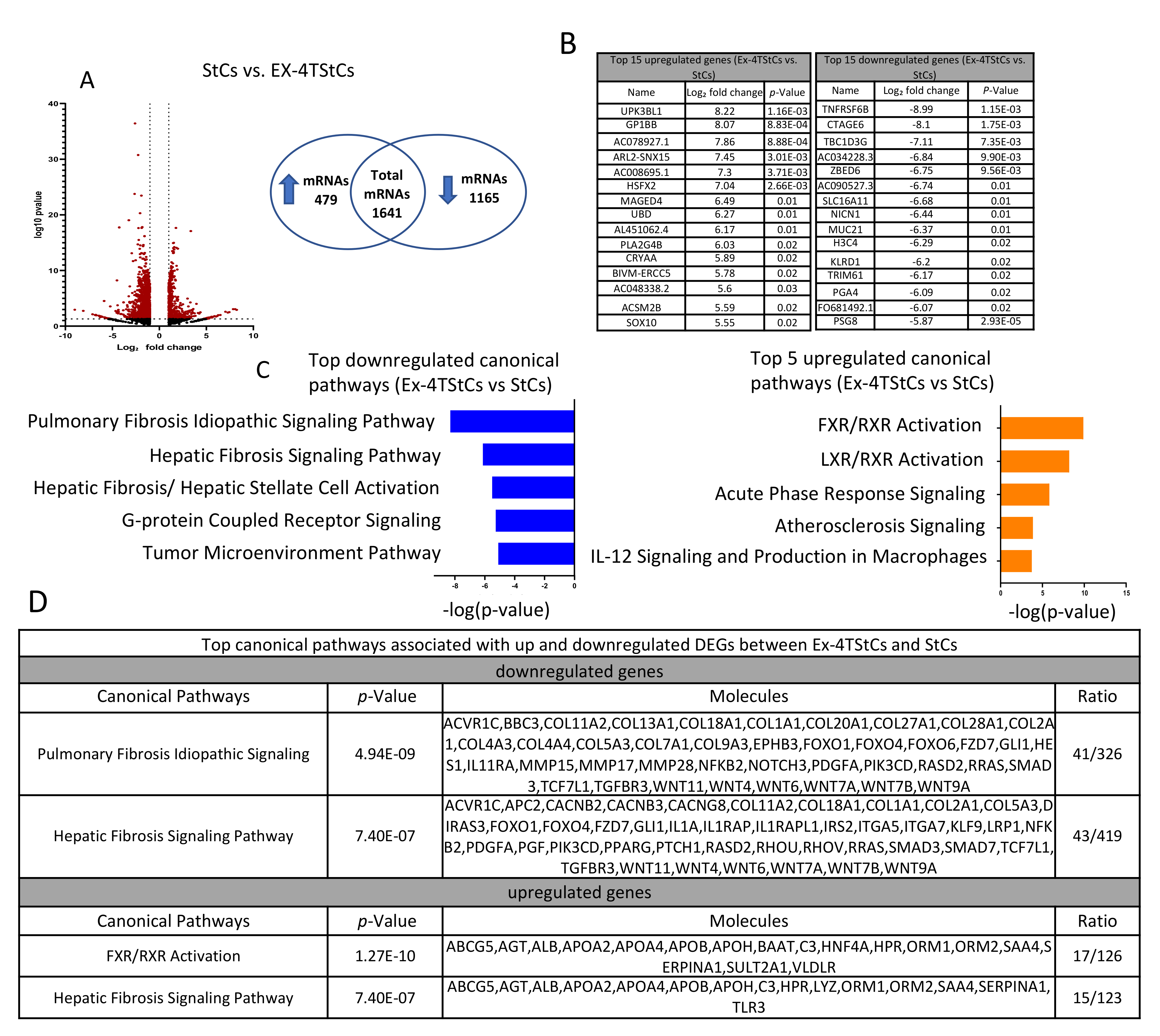 Biomedicines 10 01020 g004