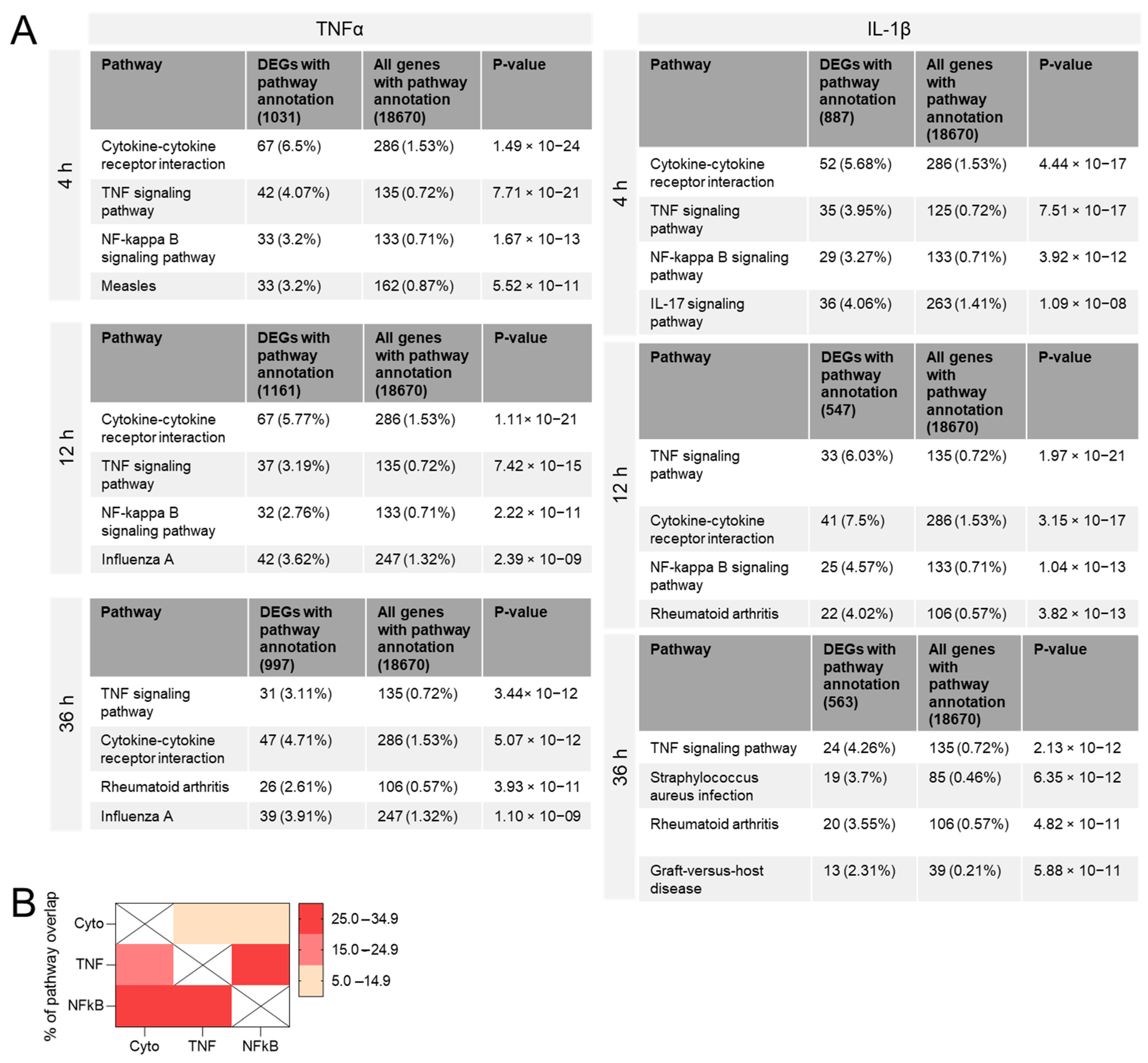 Biomedicines 10 01025 g001