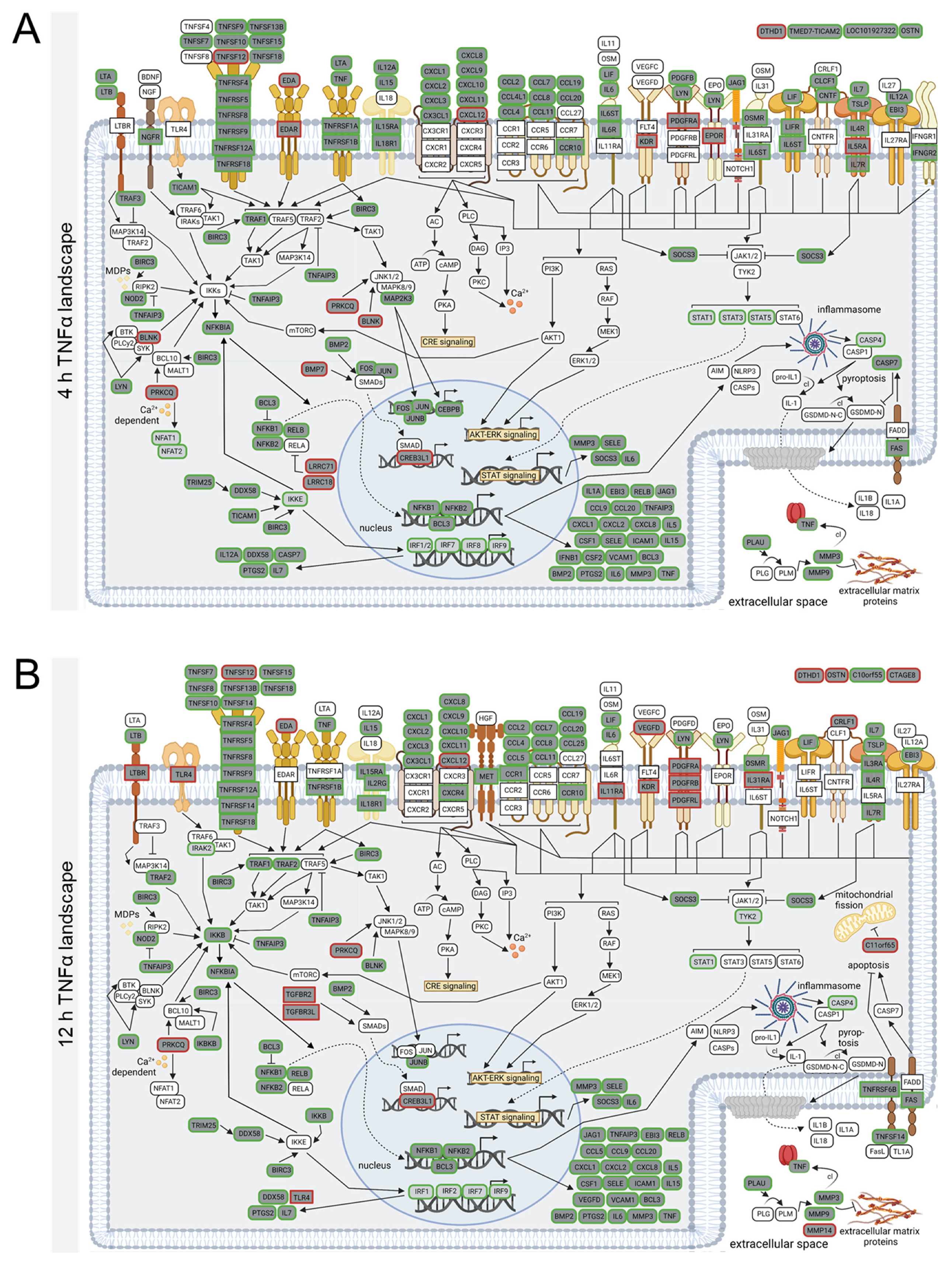 Biomedicines 10 01025 g002a